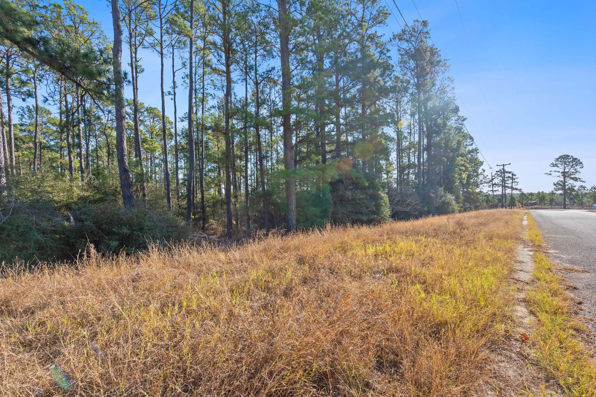 Lot 65 State Highway 21 None Property Photo 10