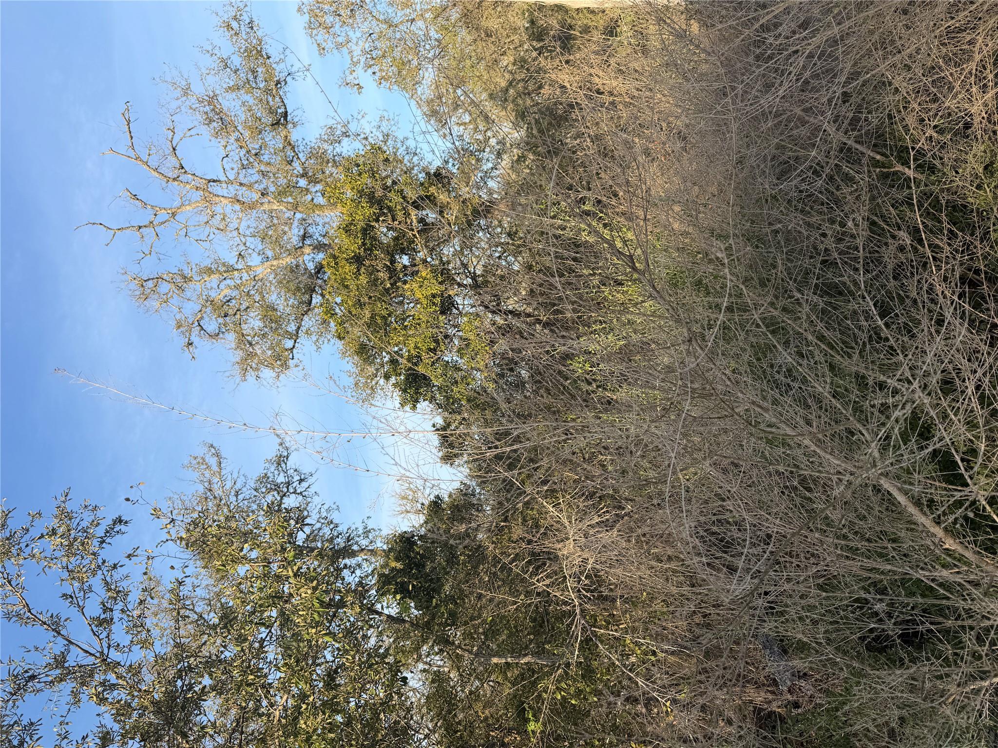 156 And 160 Helemano Dr Property Photo 8