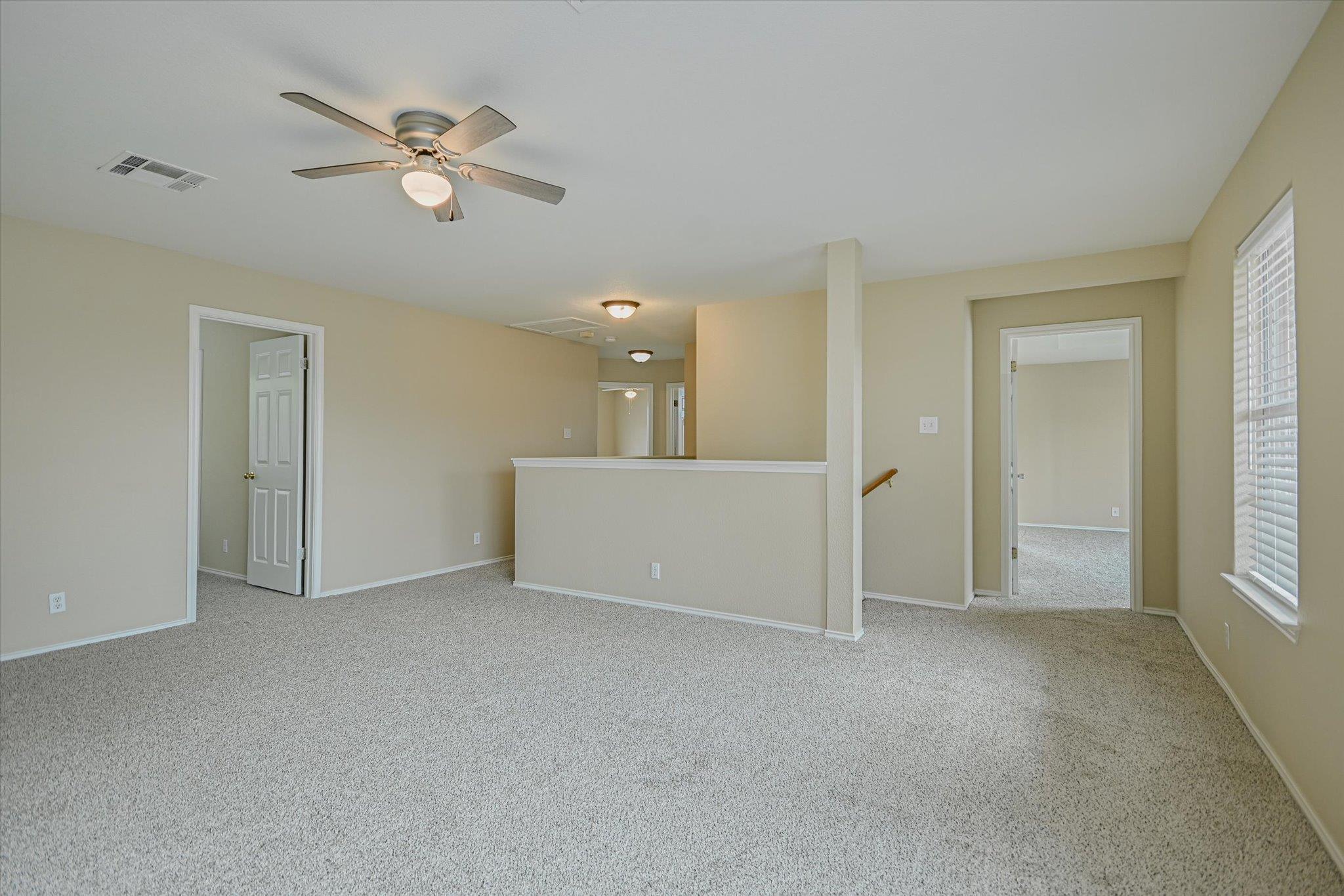 3181970 Property Photo 13