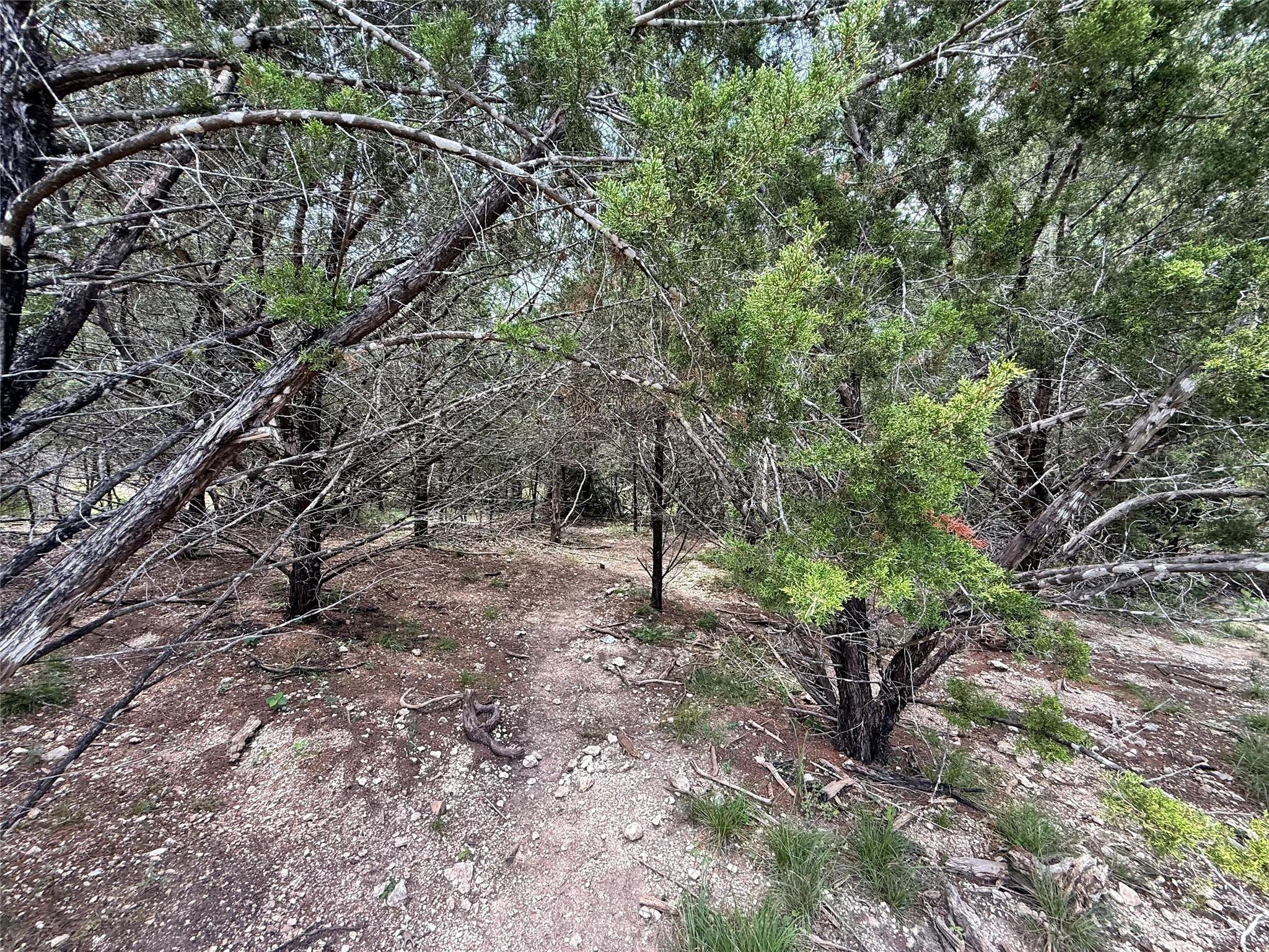 1709 Long Bow Dr Property Photo 4