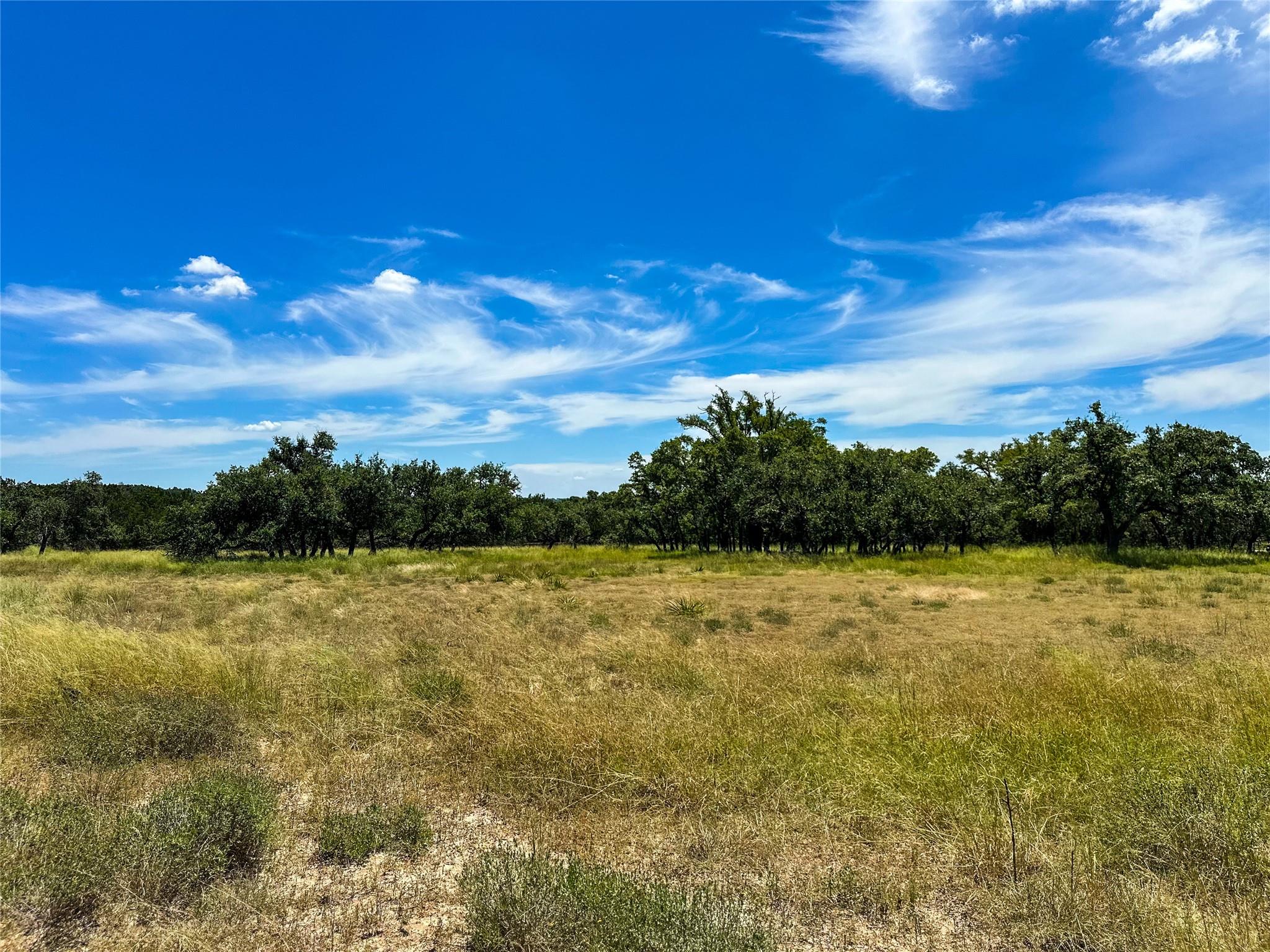 3942 Mount Sharp Road None Property Photo 4