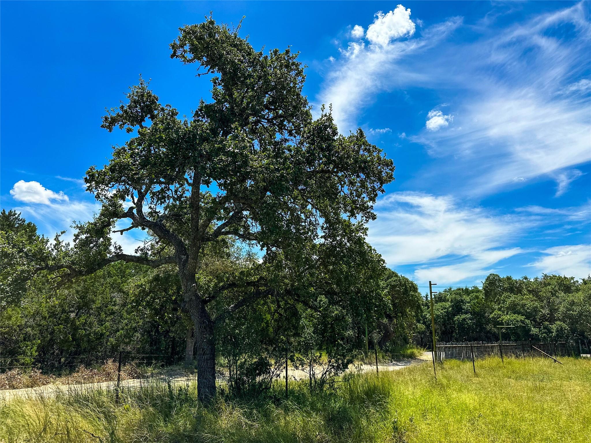 3942 Mount Sharp Road None Property Photo 9
