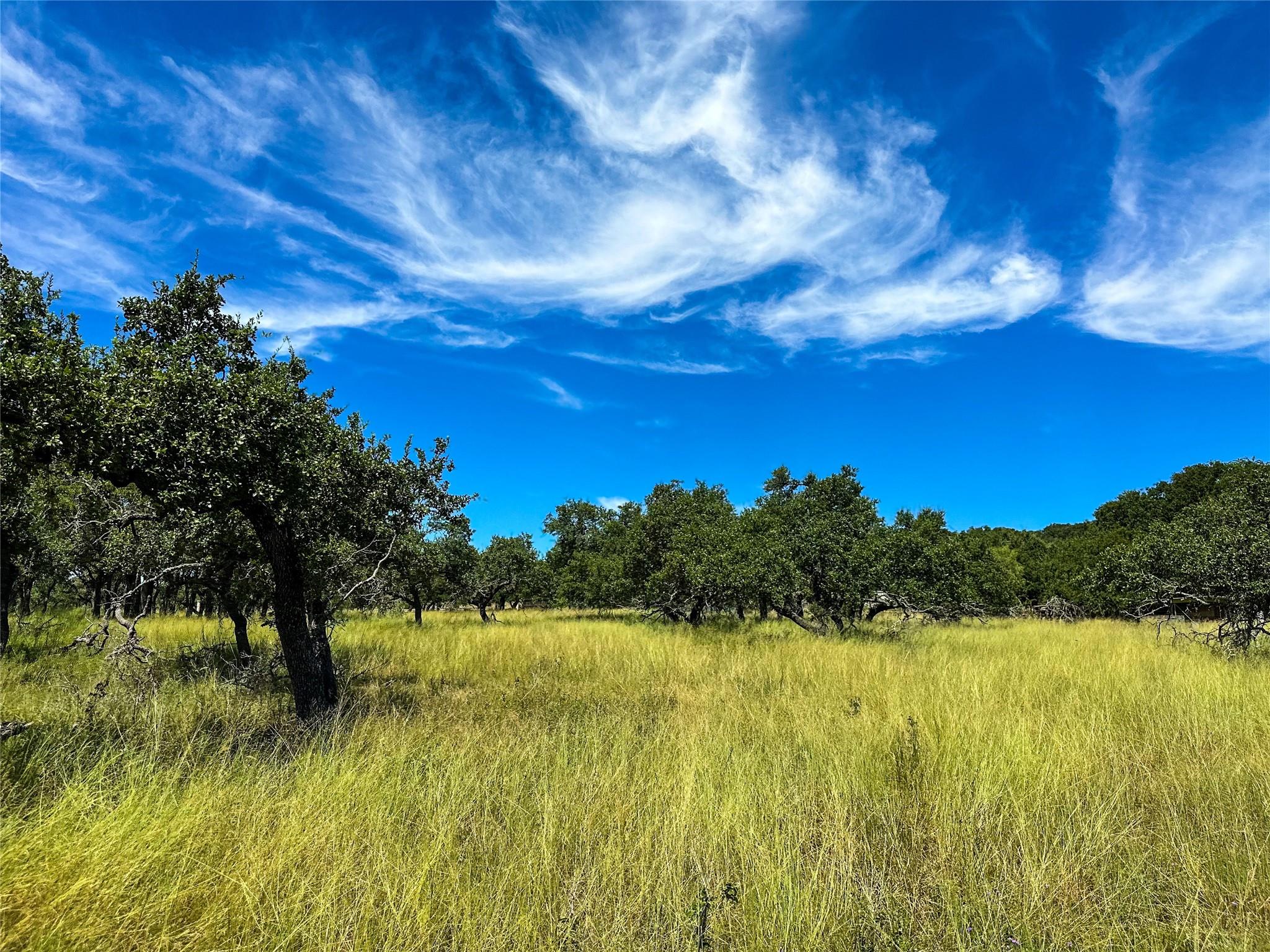 3942 Mount Sharp Road None Property Photo 10
