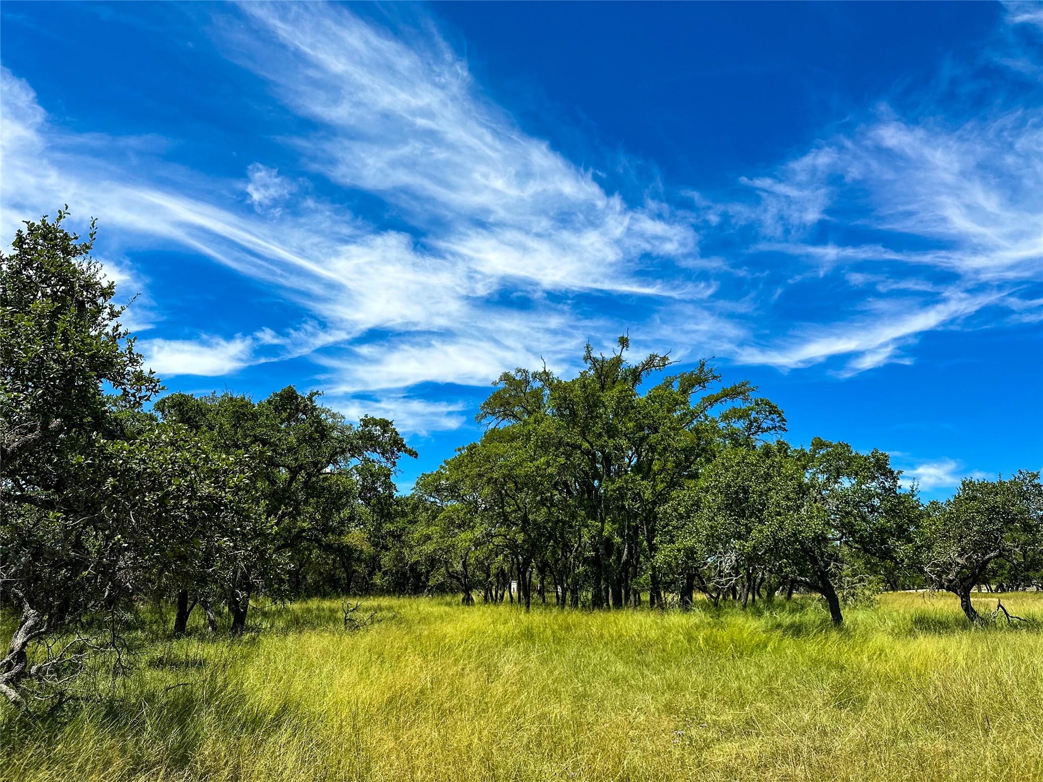 3942 Mount Sharp Road None Property Photo 11