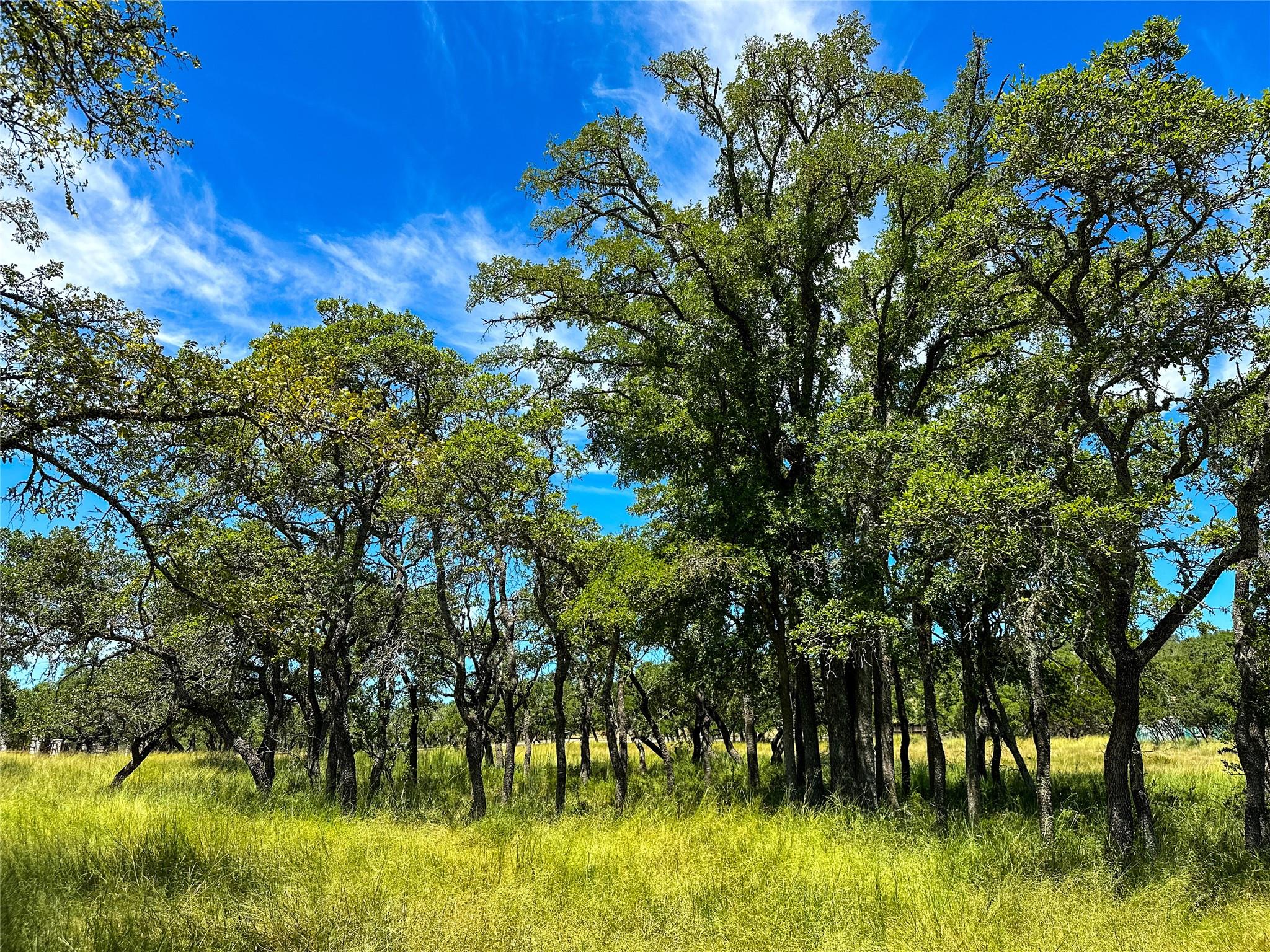 3942 Mount Sharp Road None Property Photo 12