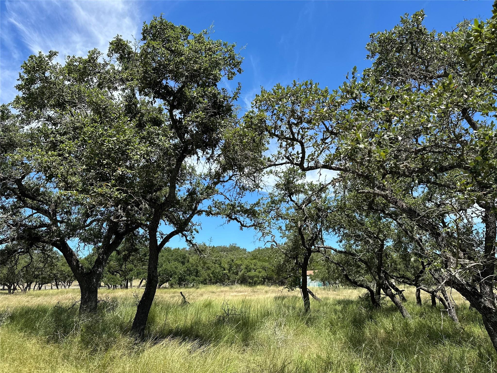 3942 Mount Sharp Road None Property Photo 14