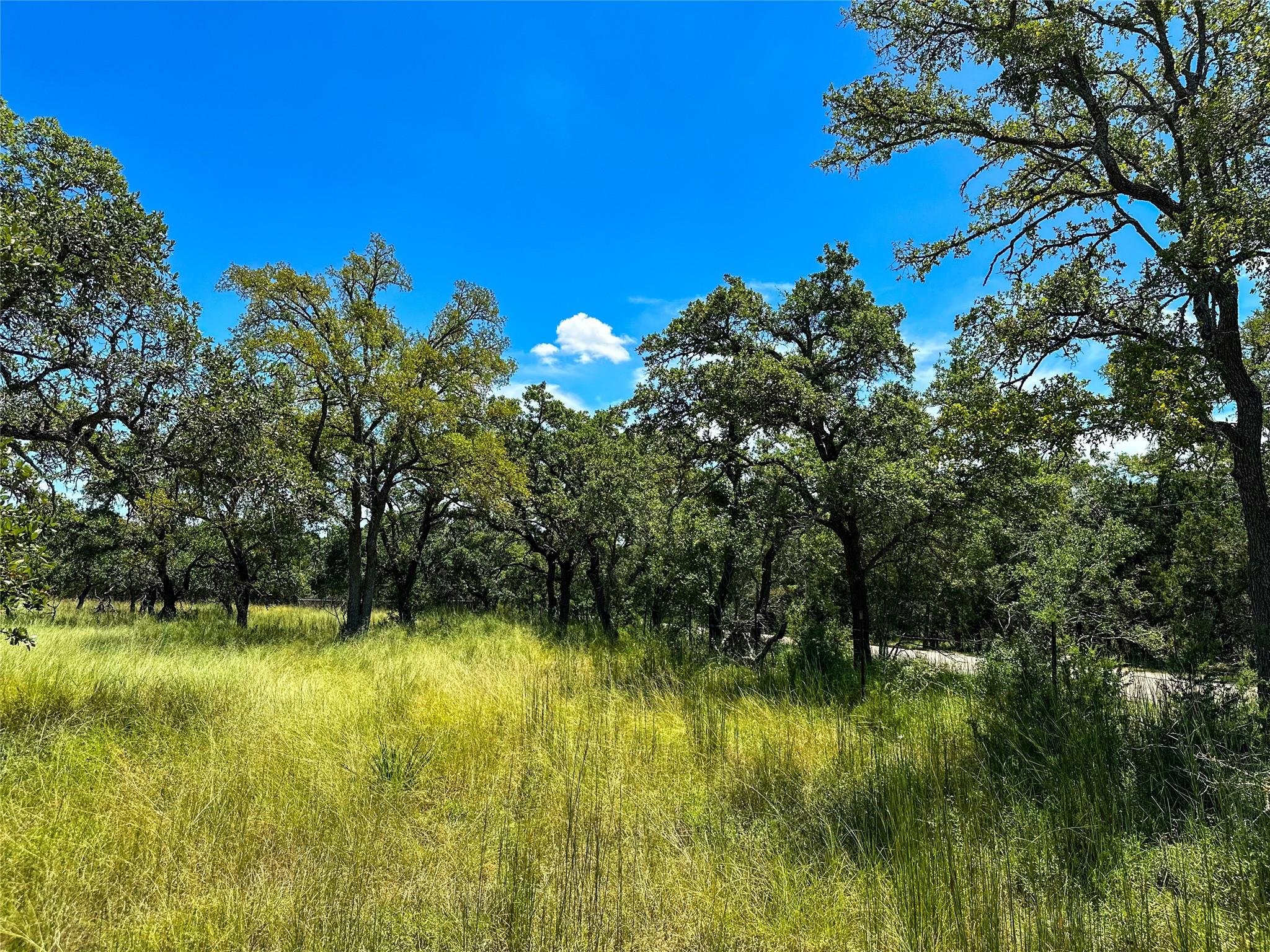 3942 Mount Sharp Road None Property Photo 15