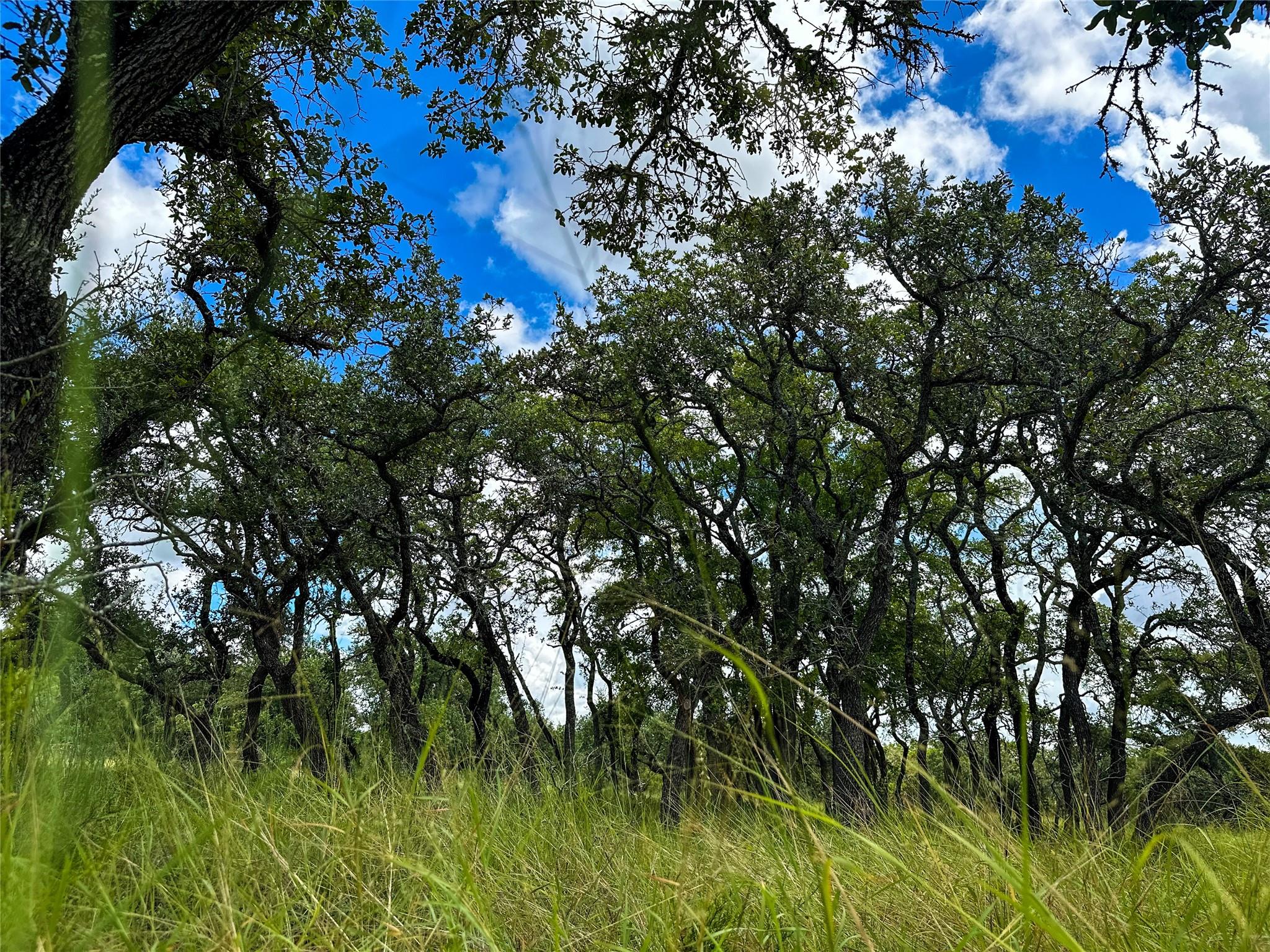 3942 Mount Sharp Road None Property Photo 21