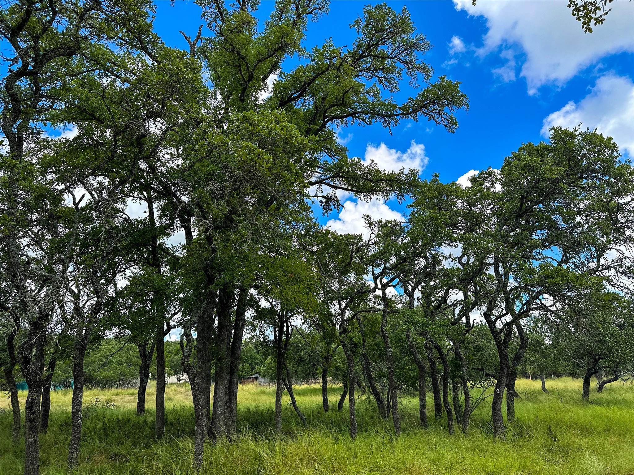3942 Mount Sharp Road None Property Photo 22