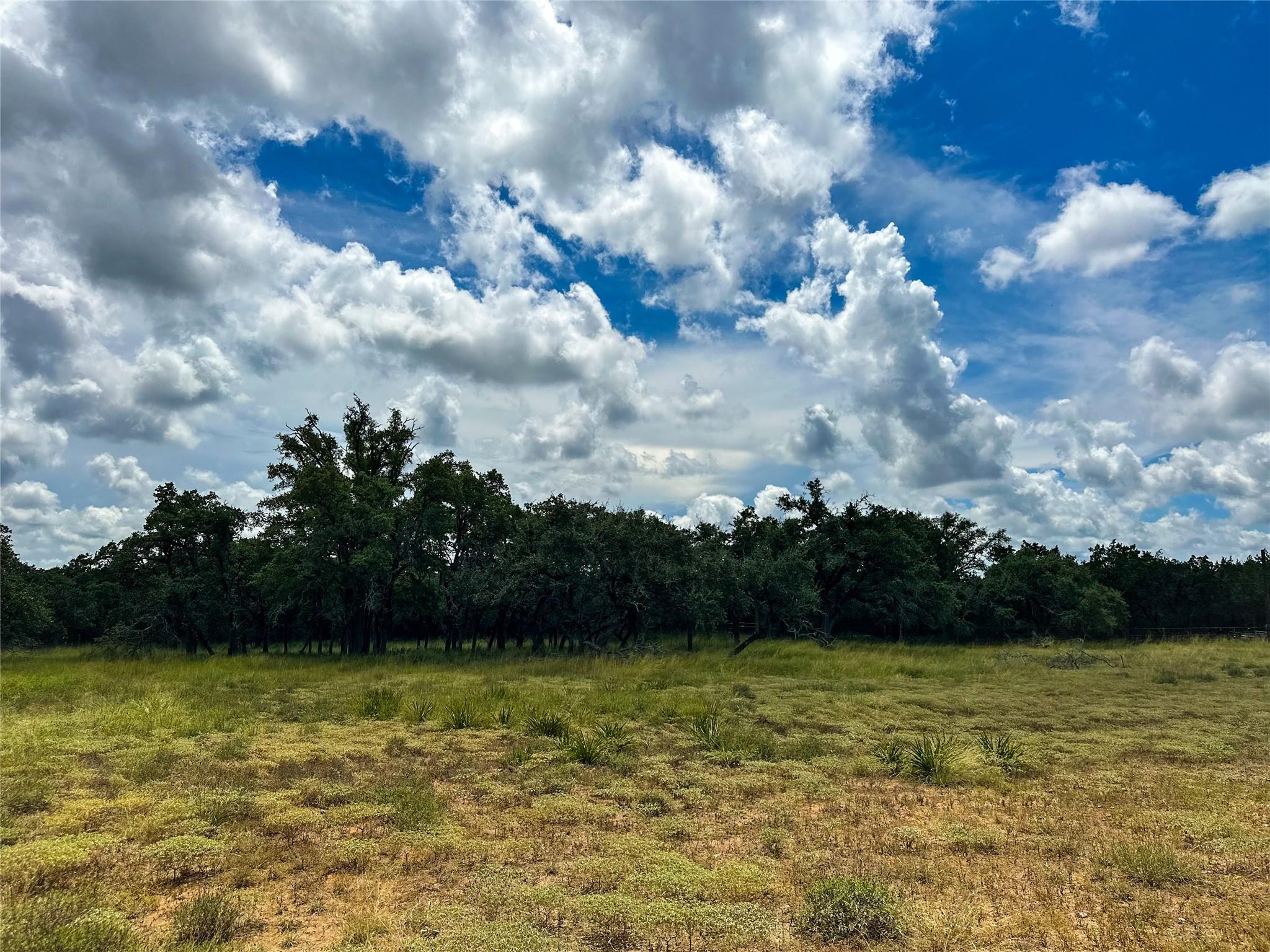 3942 Mount Sharp Road None Property Photo 28