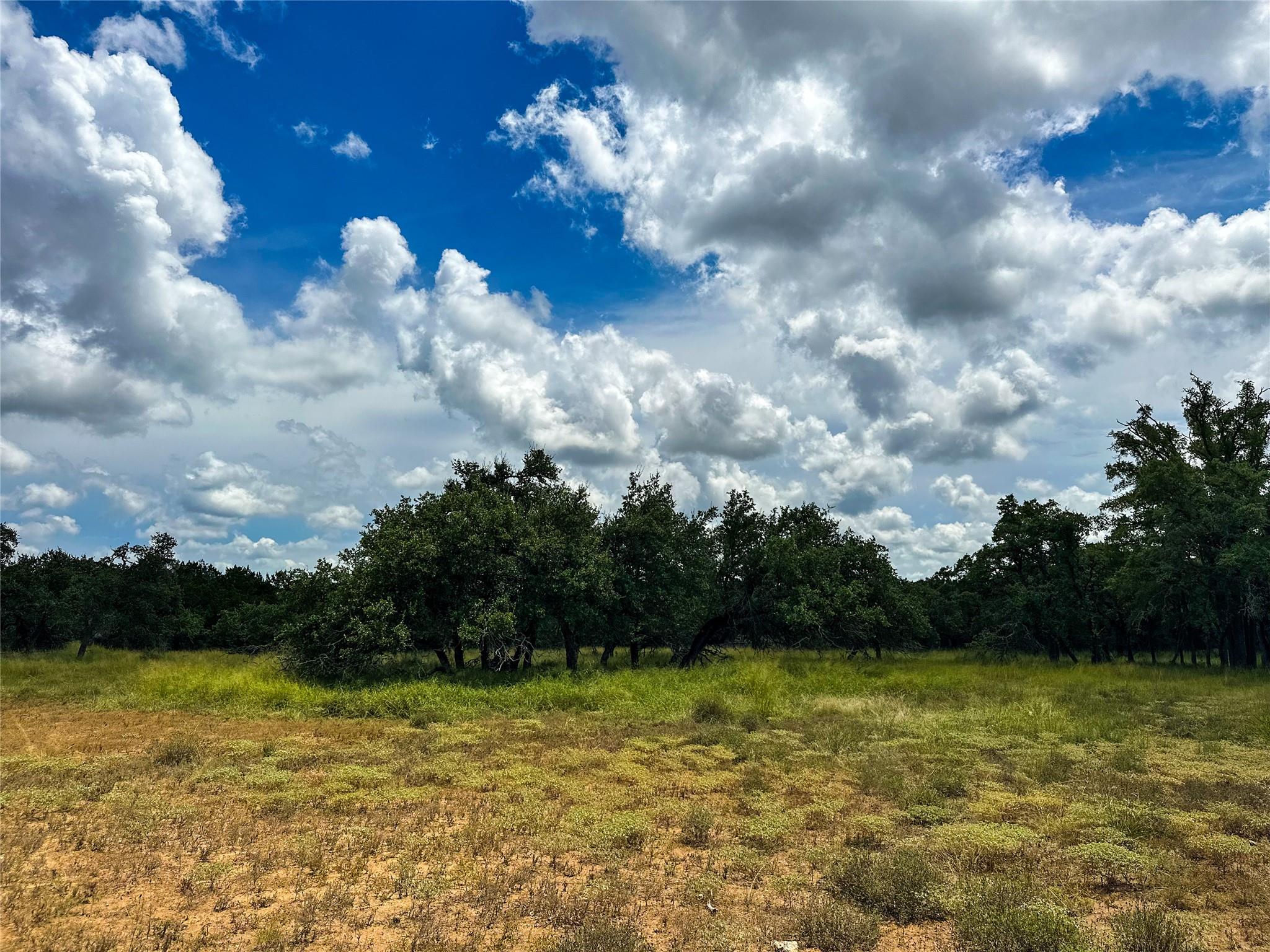 3942 Mount Sharp Road None Property Photo 29