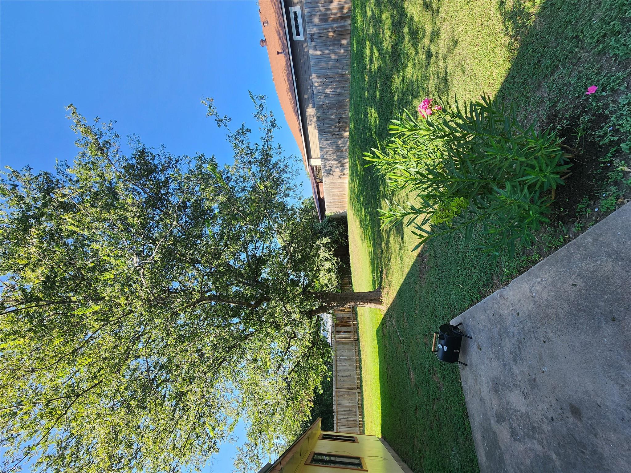 1807 Magazine St Property Photo 11