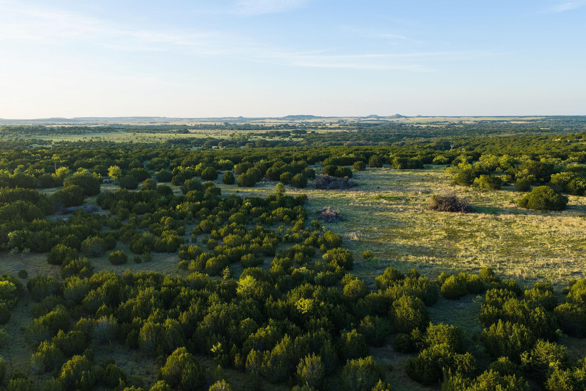 Tbd Cr 1255 None Property Photo 8