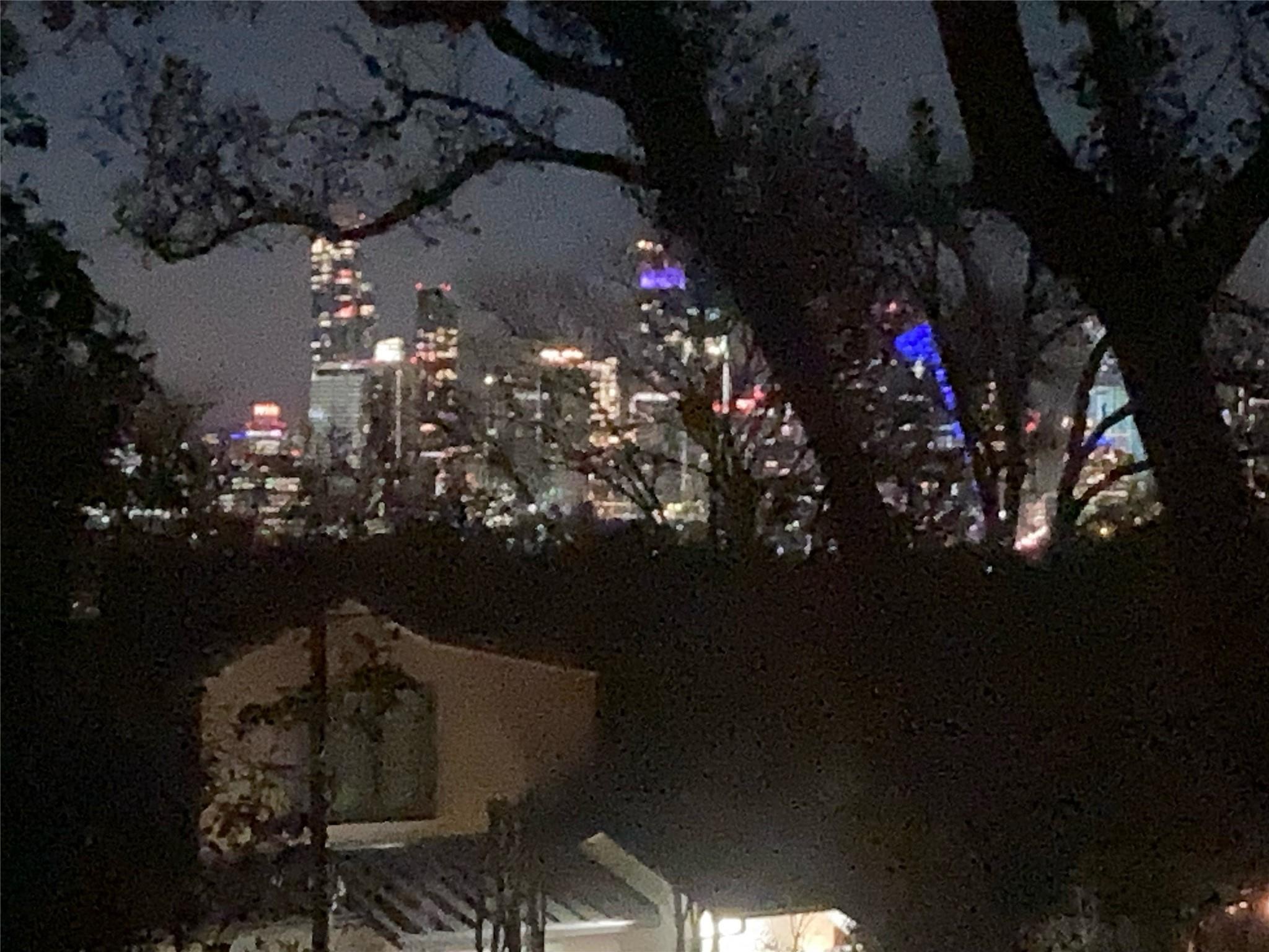 407 Almarion Dr Property Photo 30