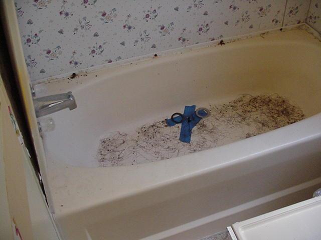 21207 Cherry Hollow Ct Property Photo 23