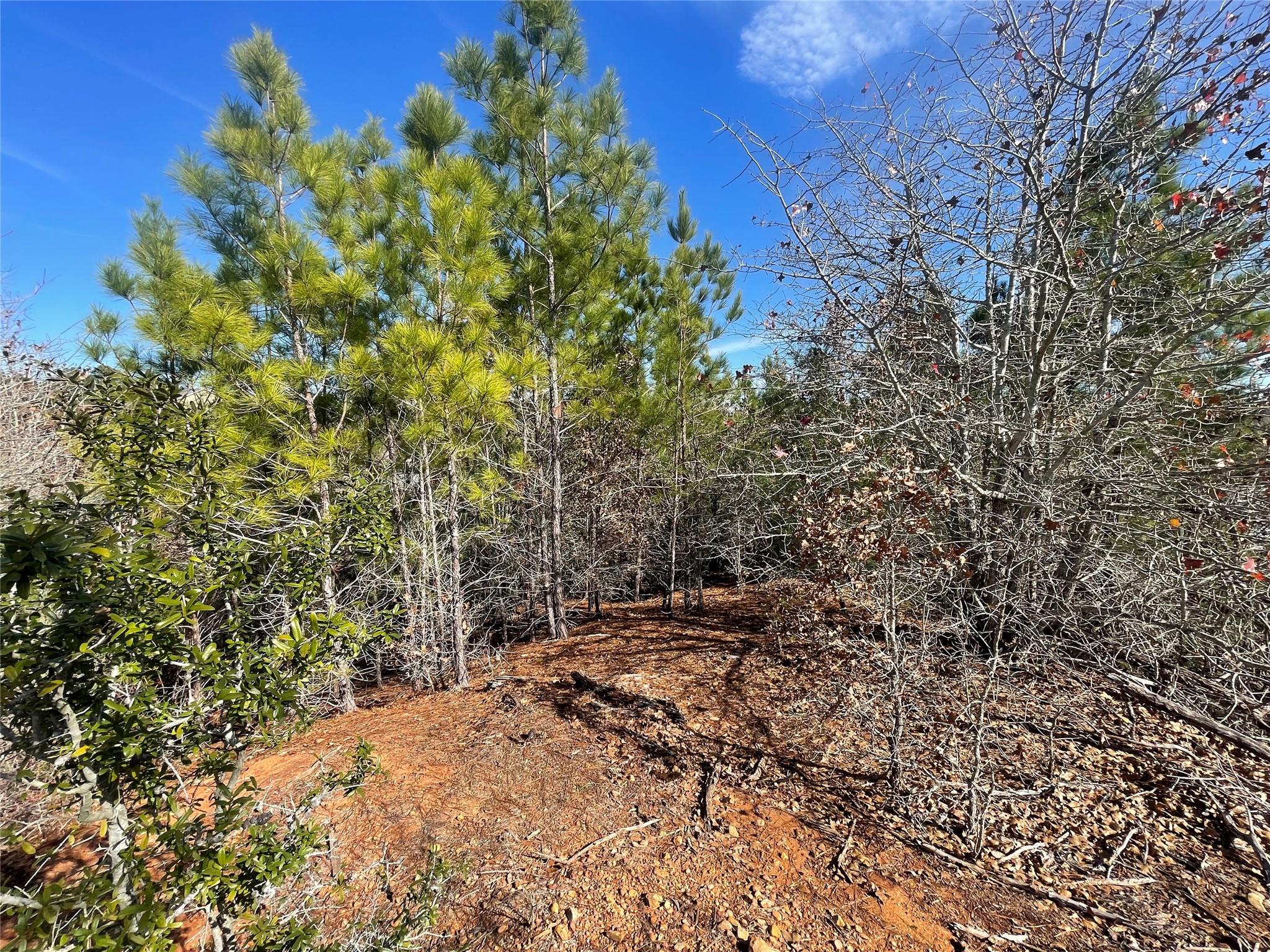 Lot 1462 Tahitian Dr Property Photo 2