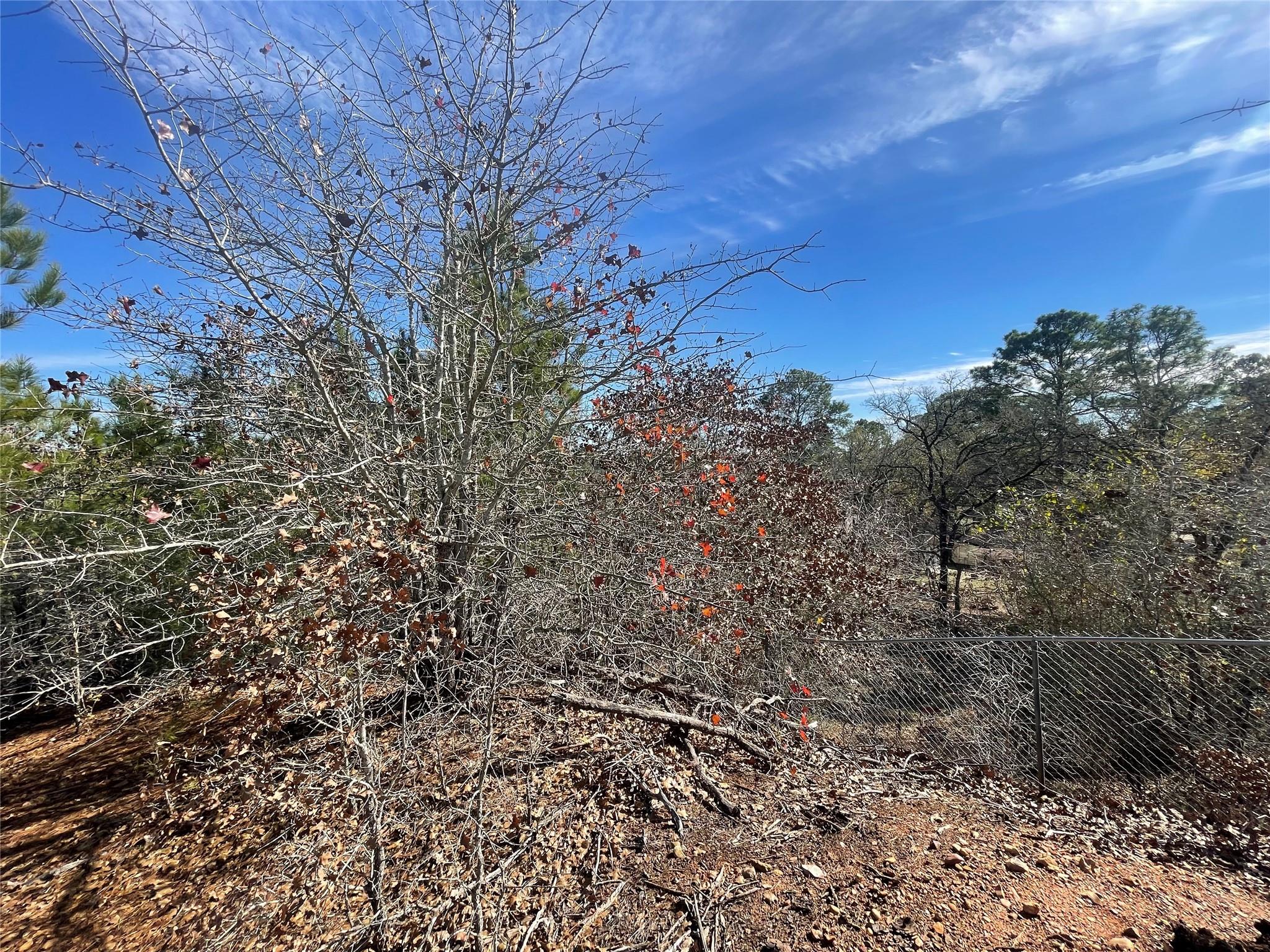 Lot 1462 Tahitian Dr Property Photo 4