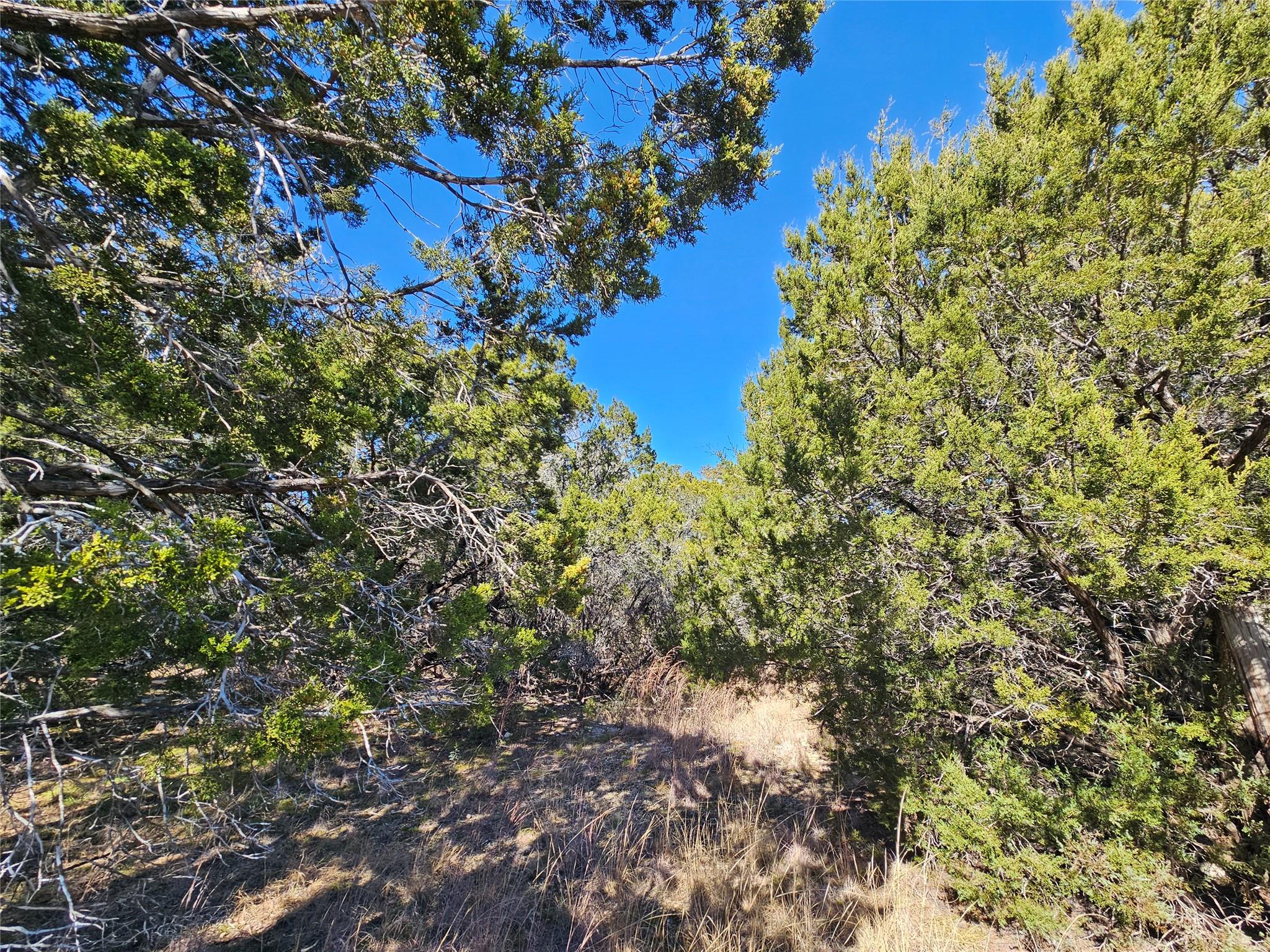 Tbd County Road 3831 None Property Photo 4