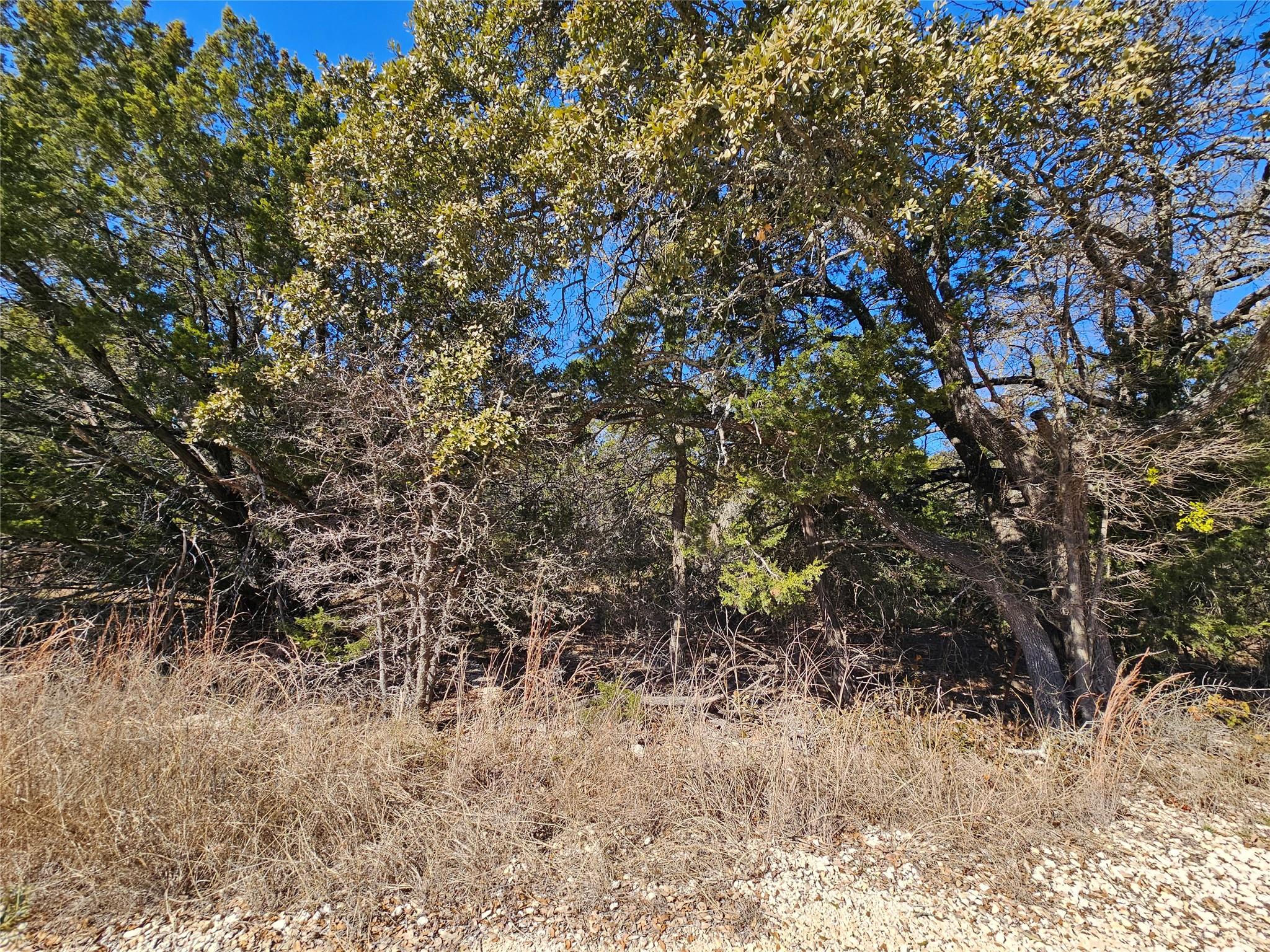 Tbd County Road 3831 None Property Photo 5
