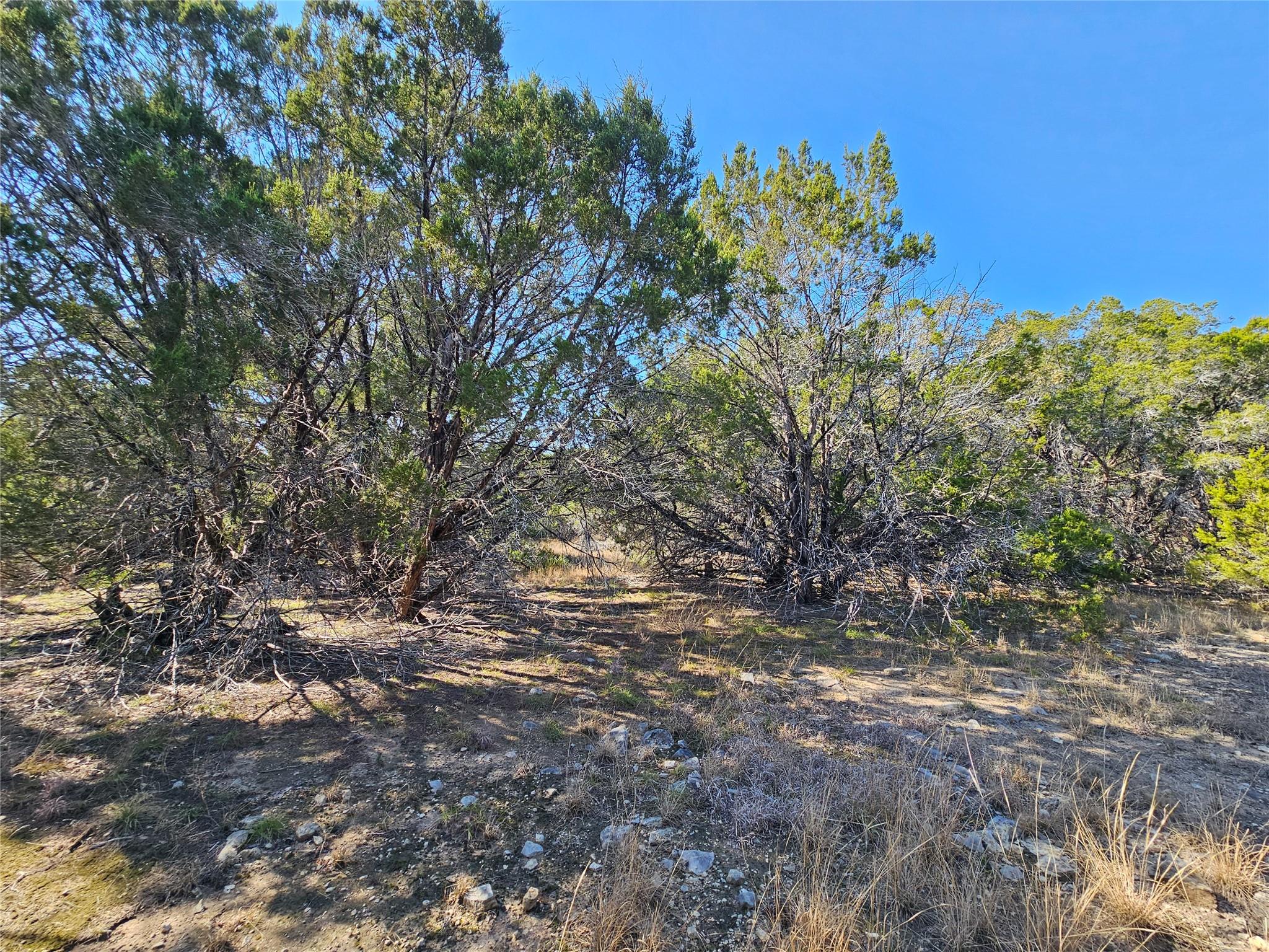 Tbd County Road 3831 None Property Photo 8