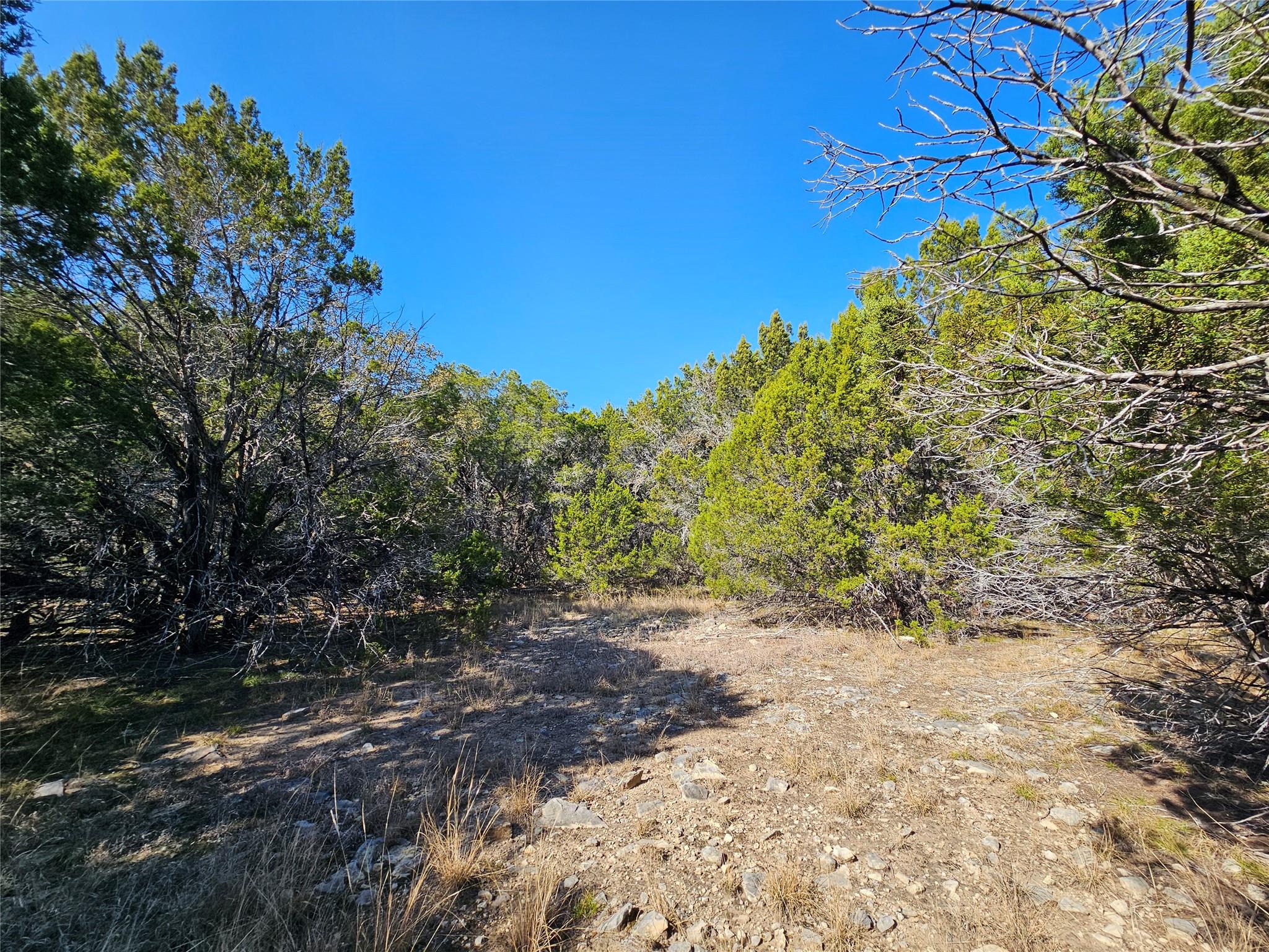 Tbd County Road 3831 None Property Photo 9