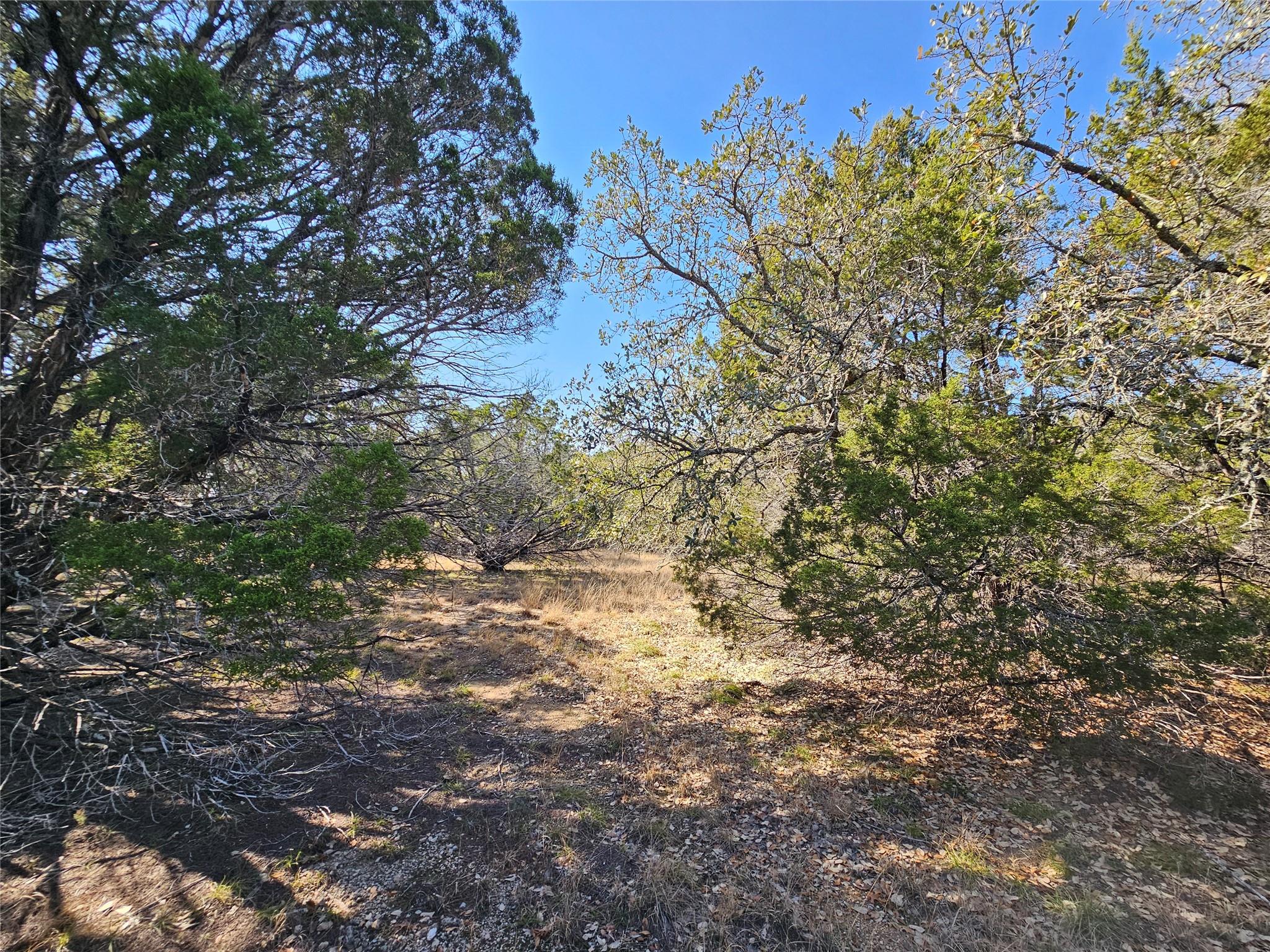 Tbd County Road 3831 None Property Photo 11