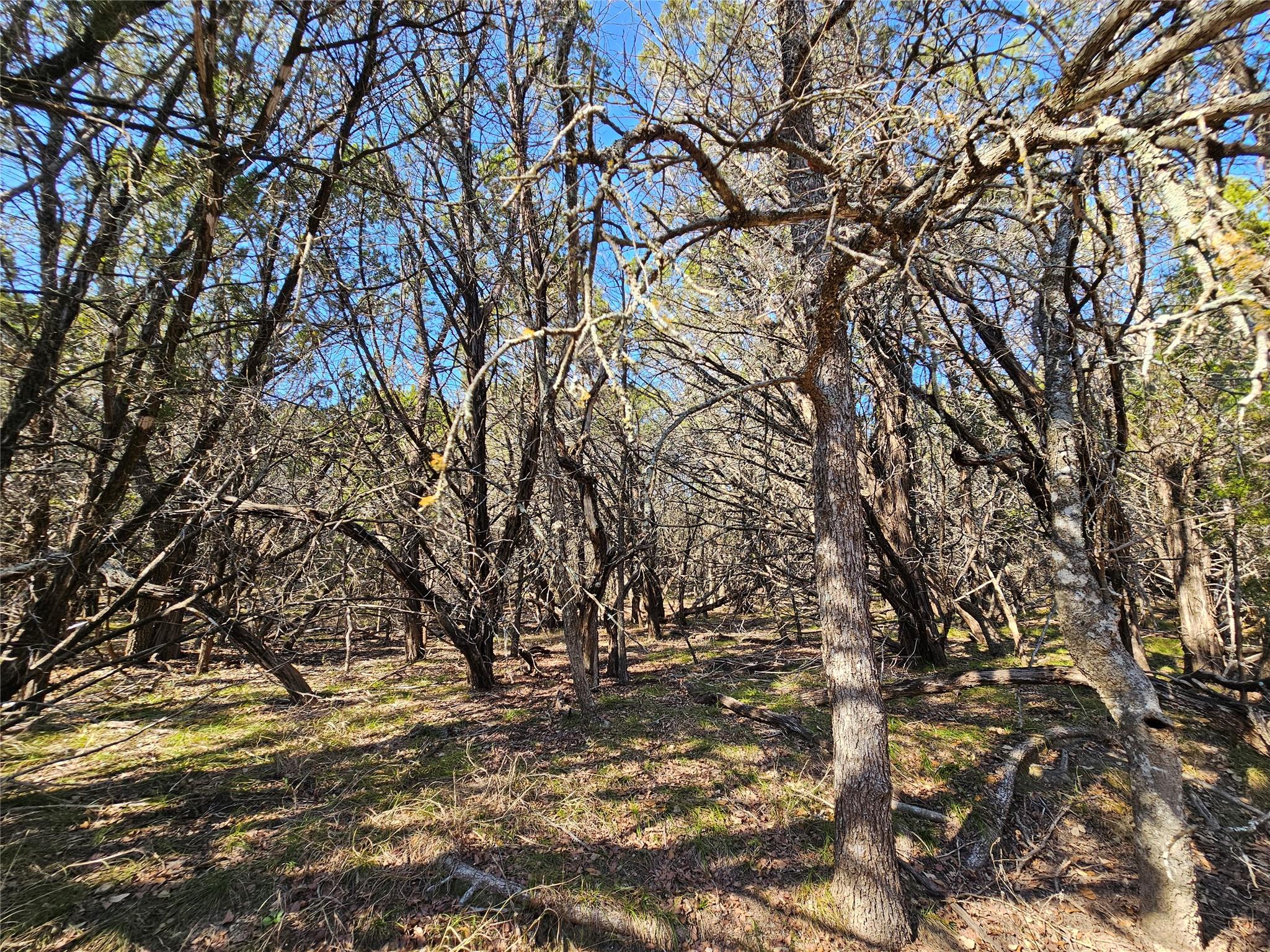 Tbd County Road 3831 None Property Photo 14