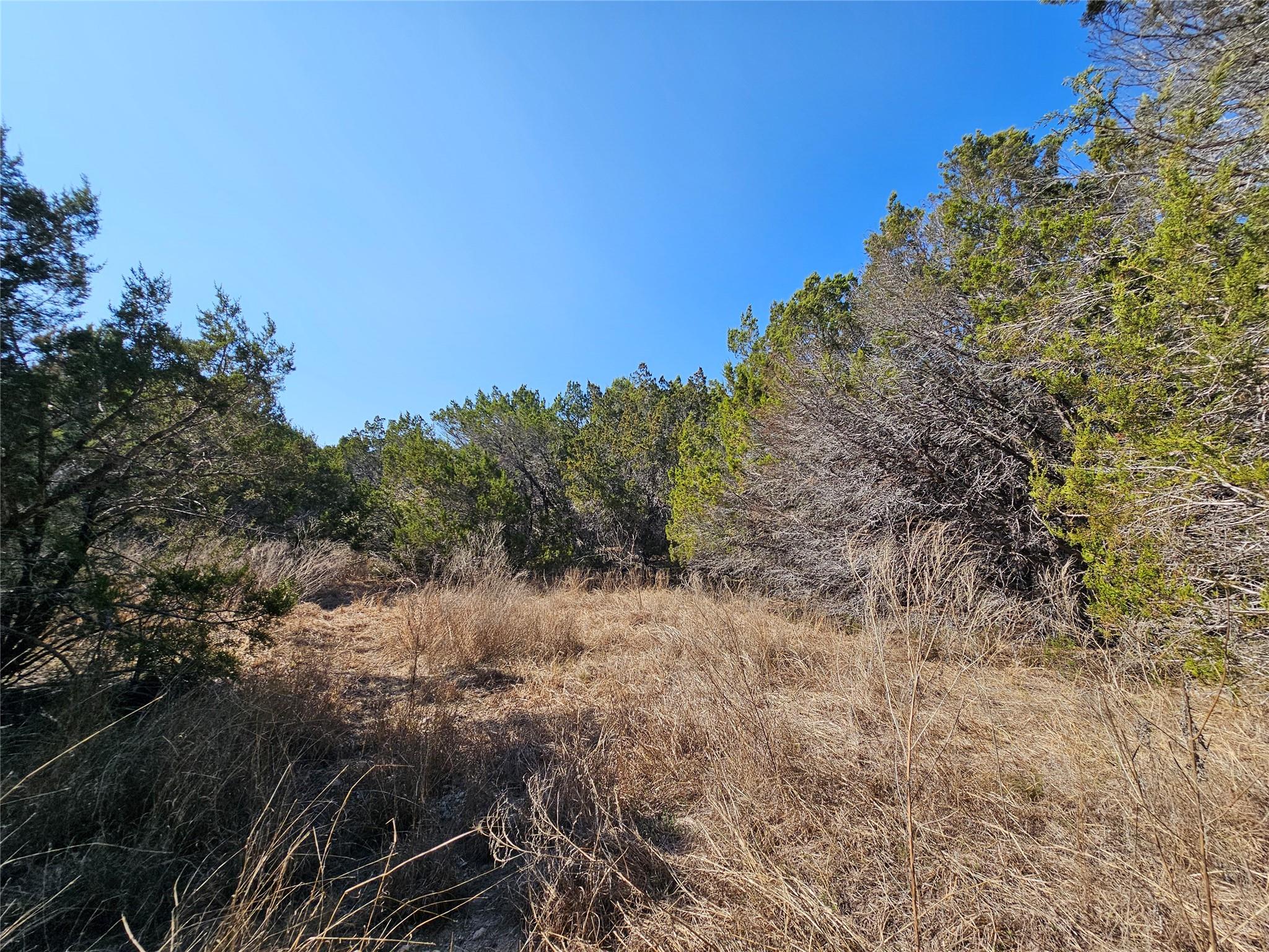 Tbd County Road 3831 None Property Photo 15