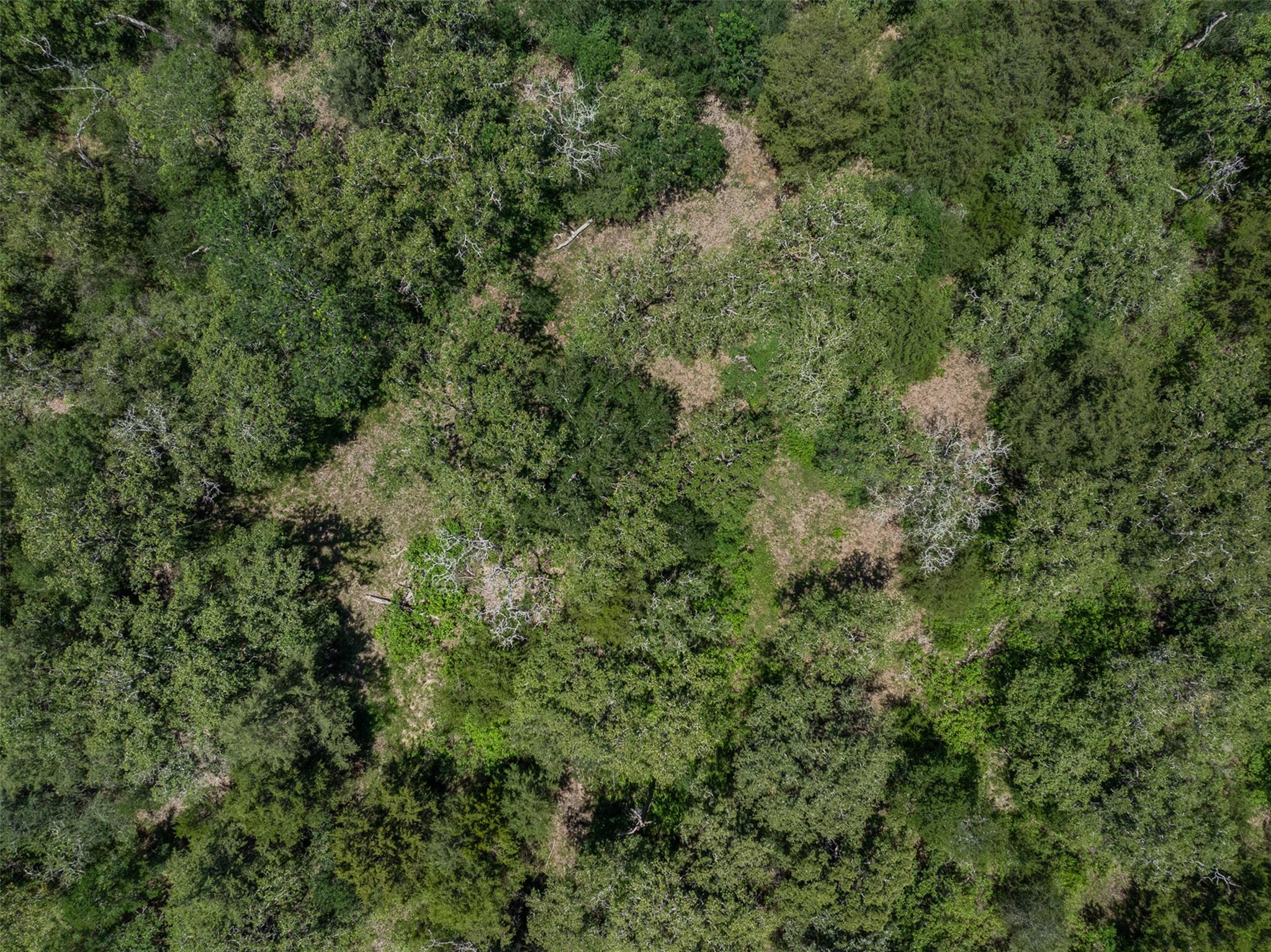 Tbd Clay Ln Property Photo 13