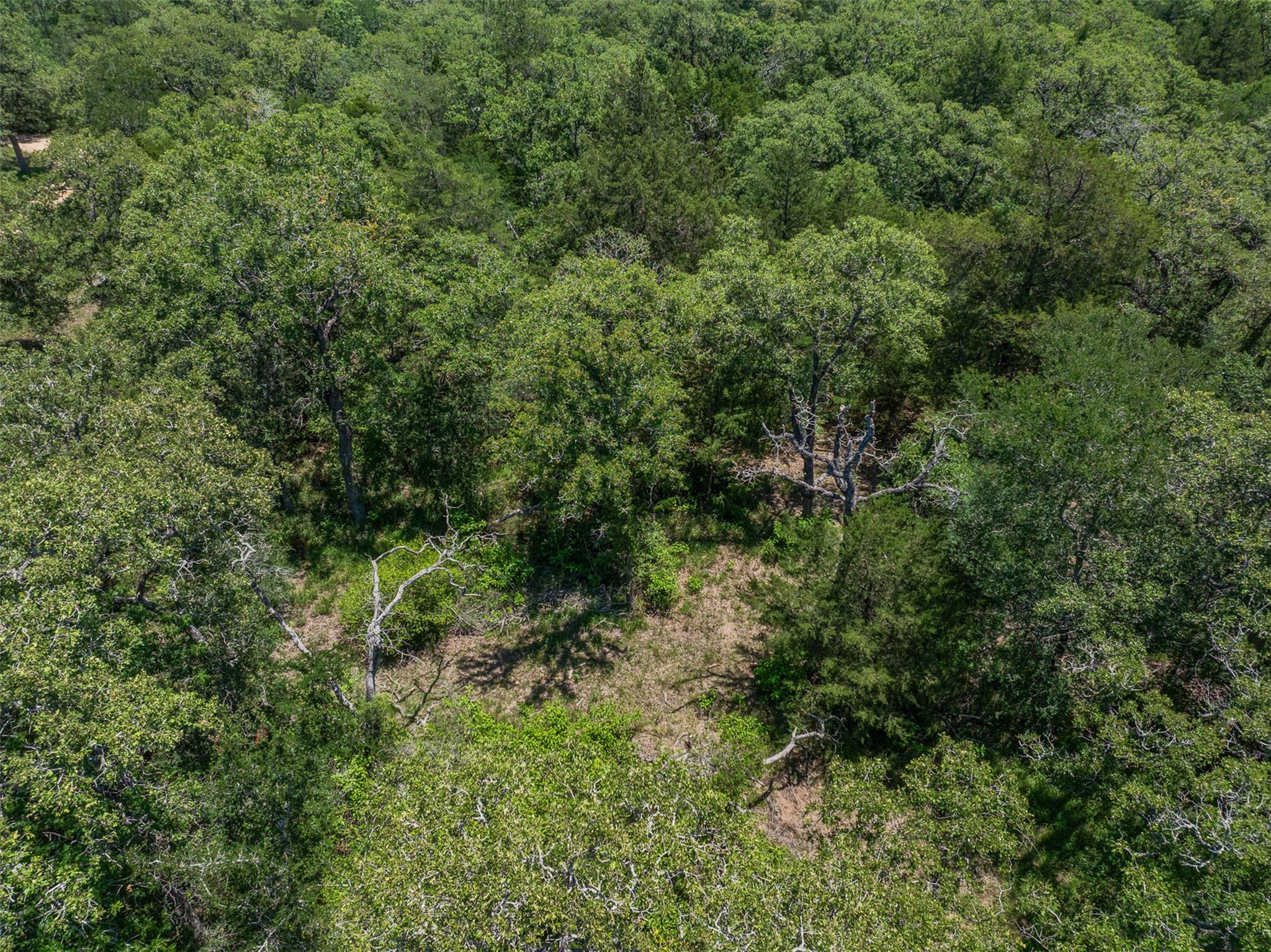 Tbd Clay Ln Property Photo 14