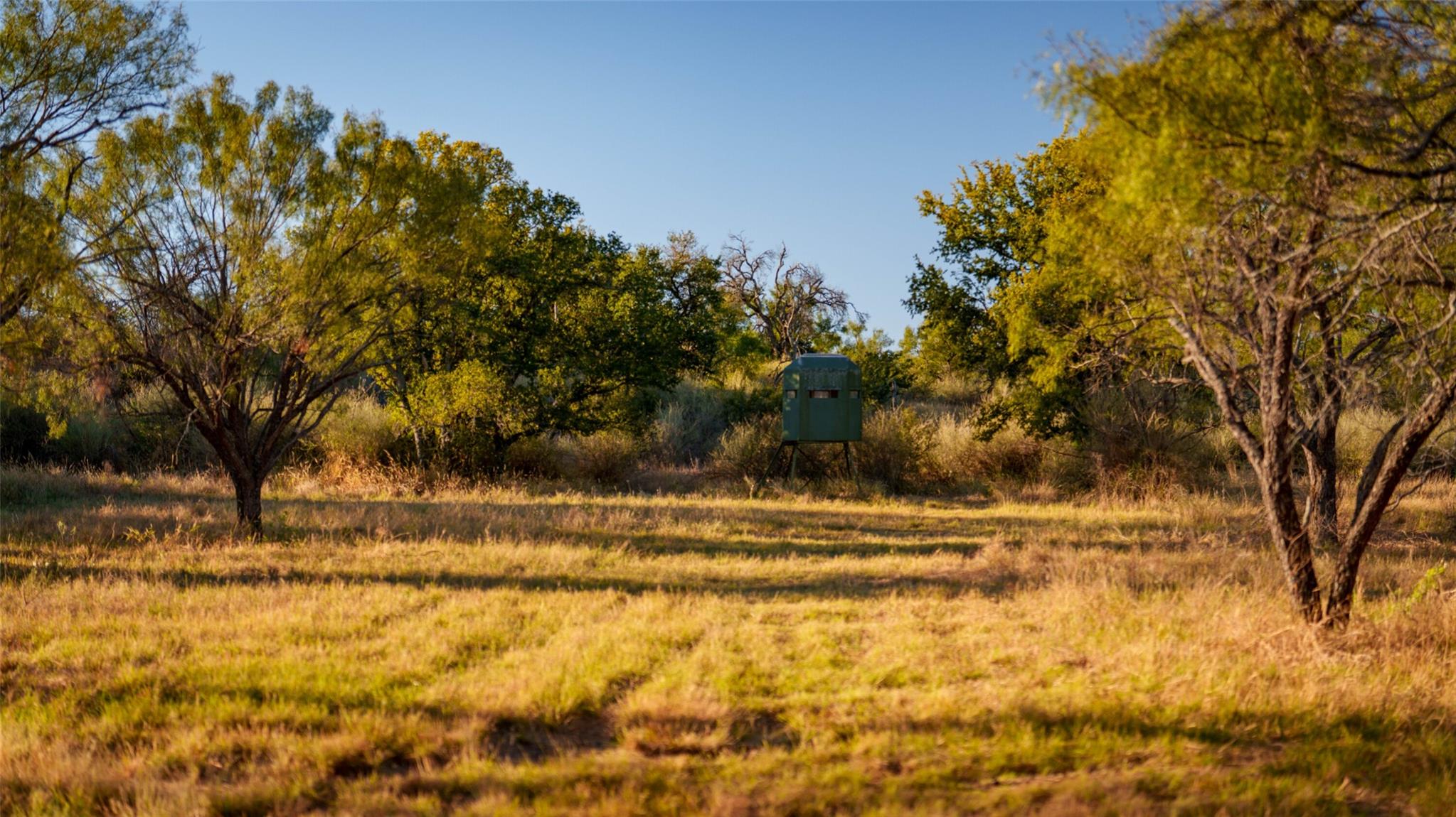 7702 Ranch Road 965 None Property Photo 35