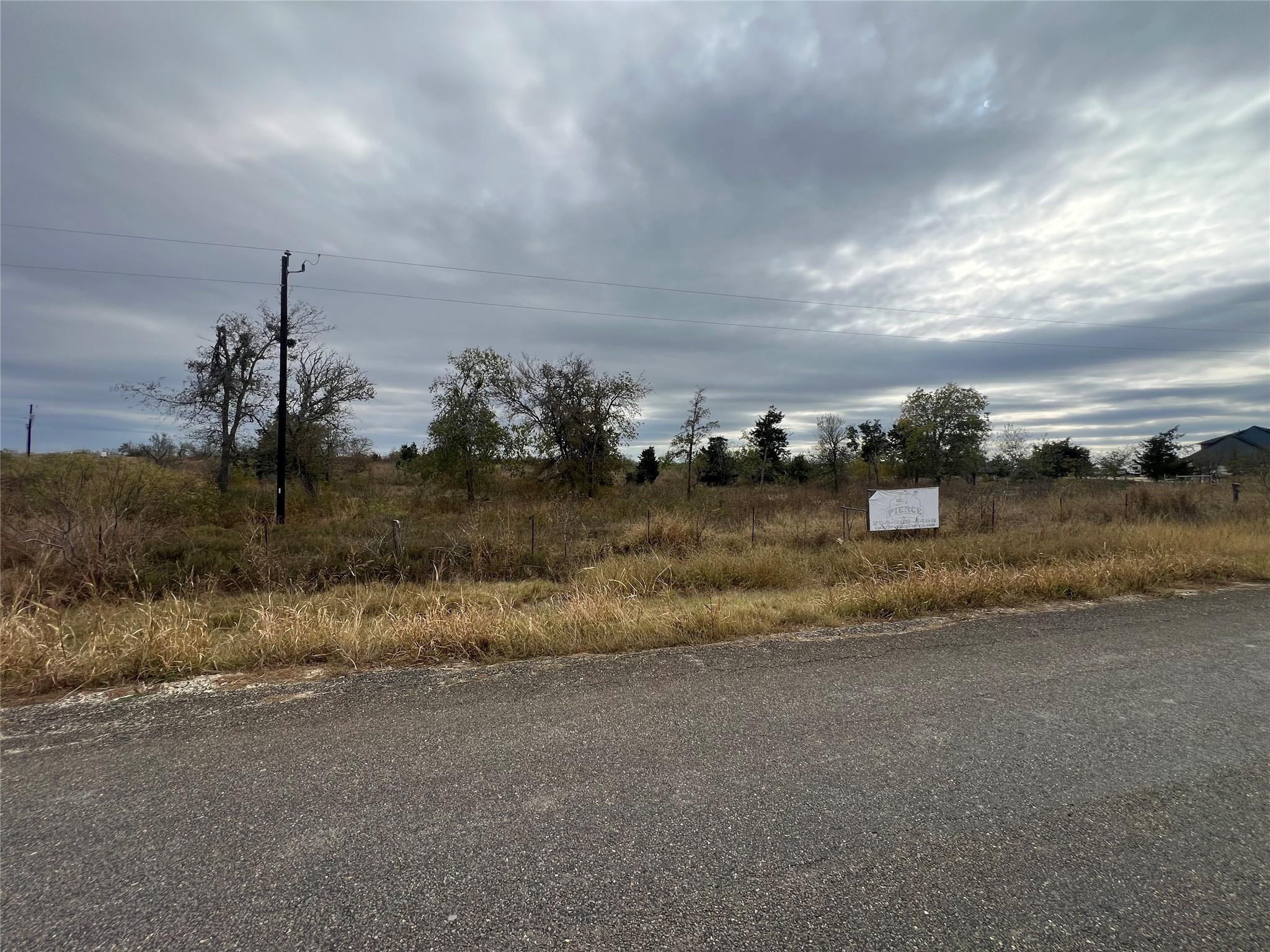 2500 Ne County Road 466 Dr Property Photo 1