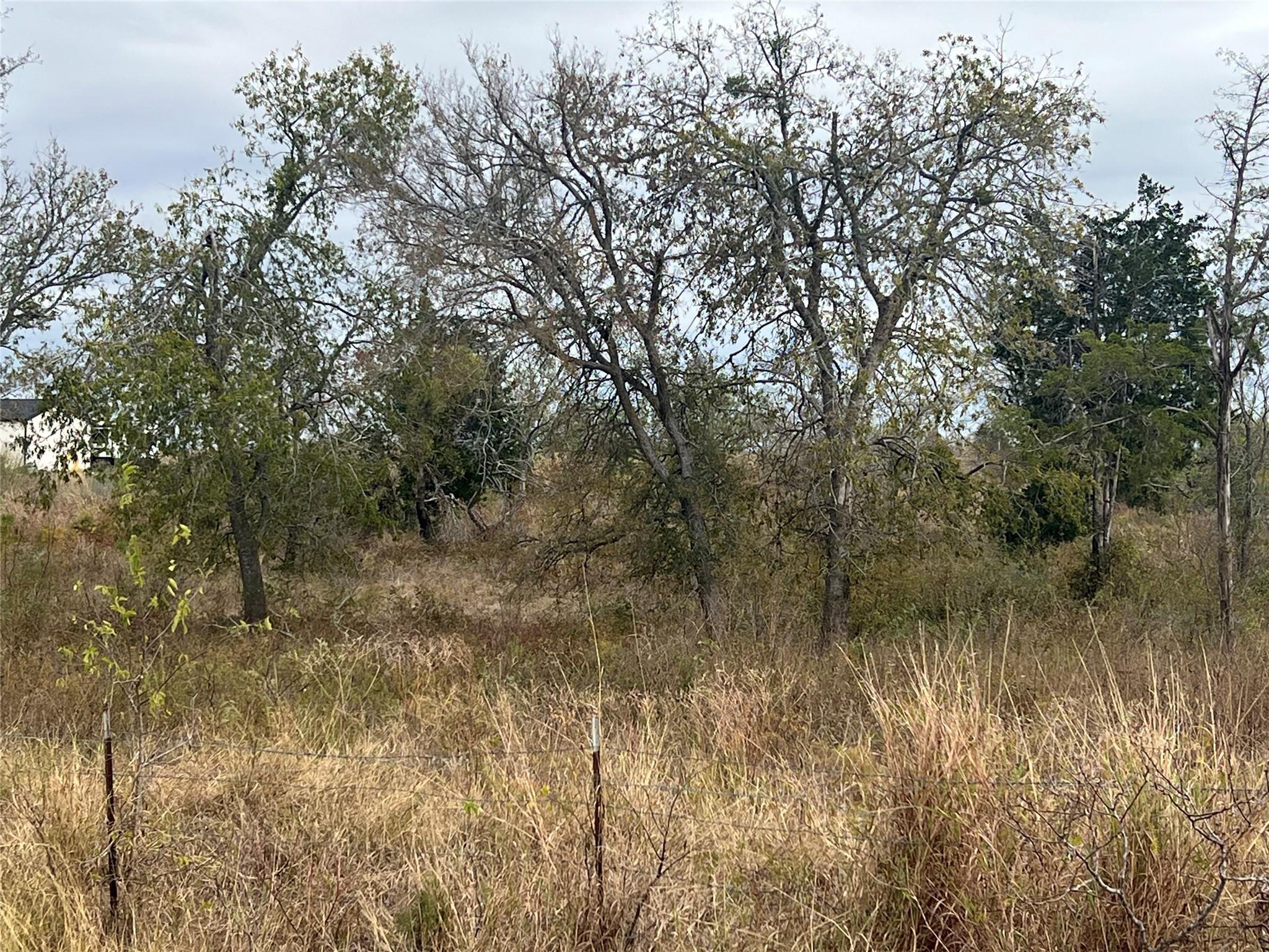 2500 Ne County Road 466 Dr Property Photo 3