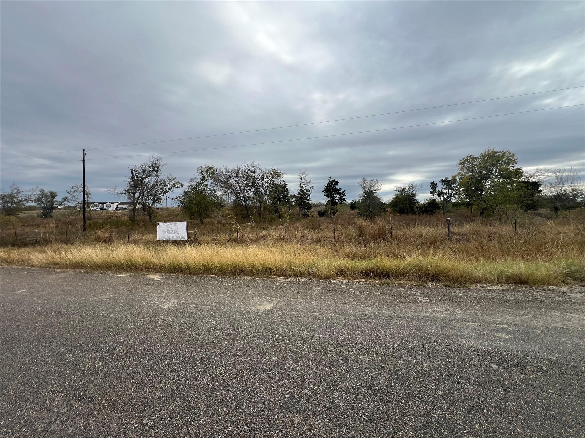 2500 Ne County Road 466 Dr Property Photo 5
