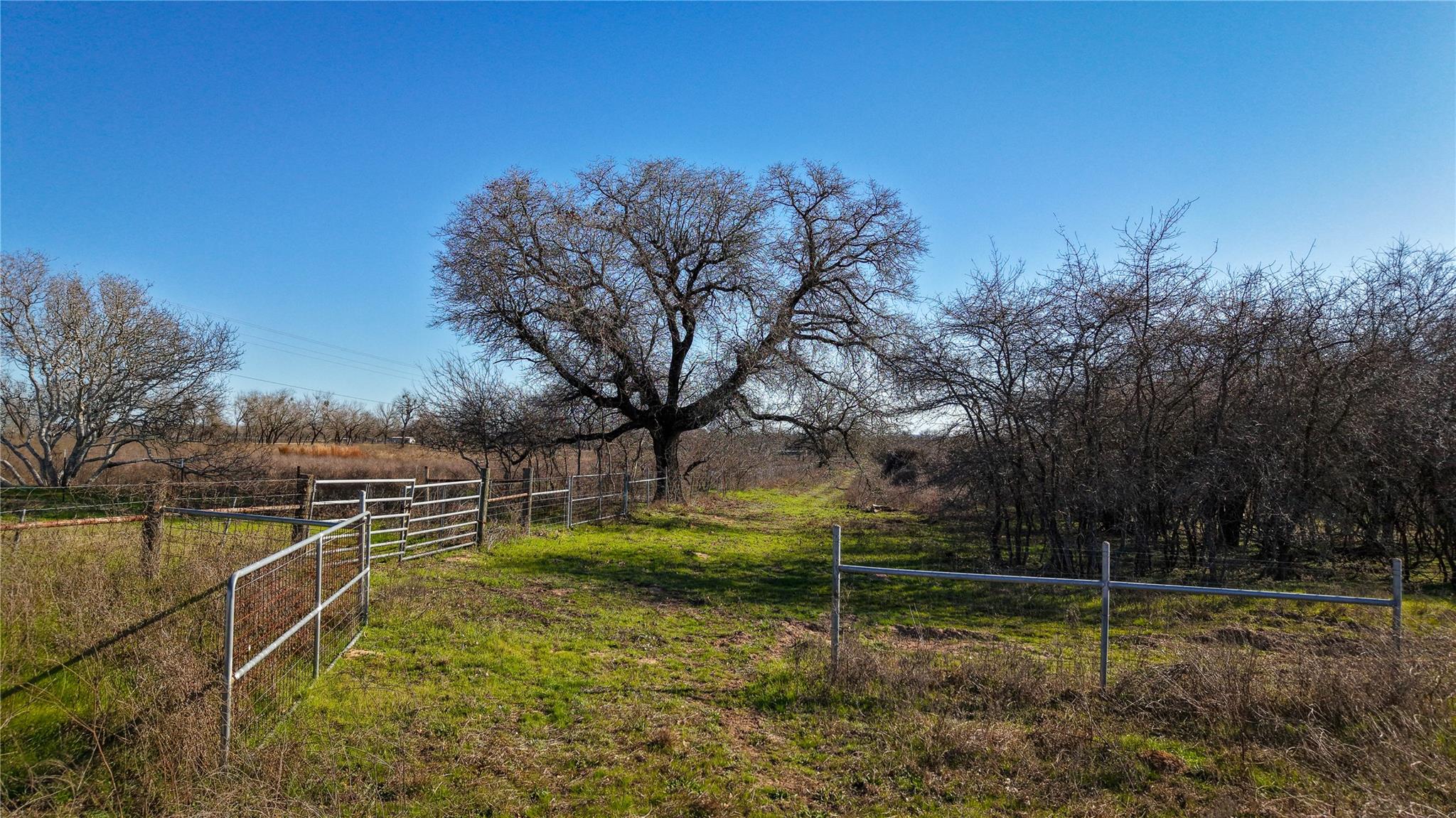 0 Tract 8 Cross Rd Property Photo 1