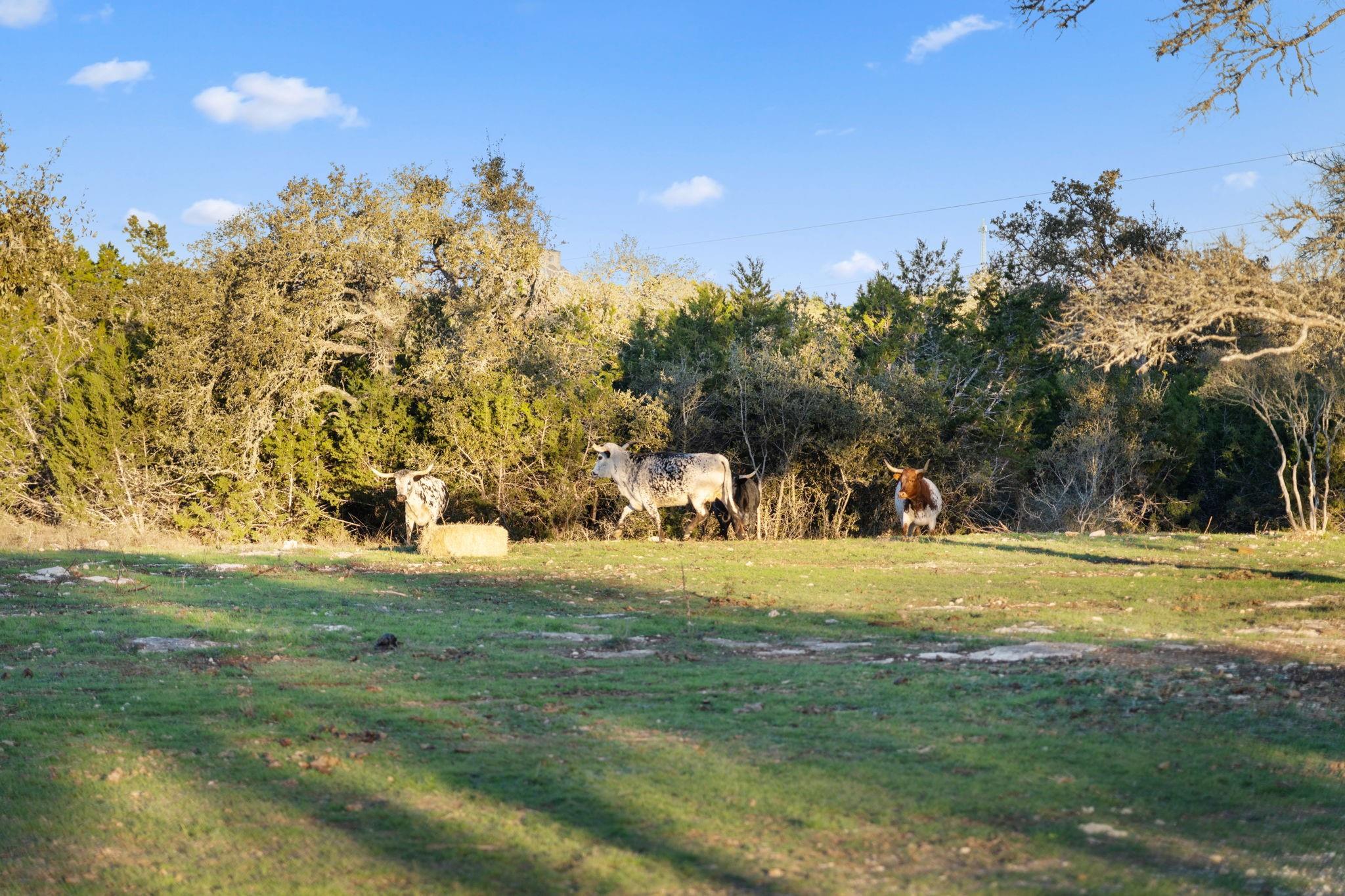10201 Fm 2325 Rd Tract B Property Photo 24