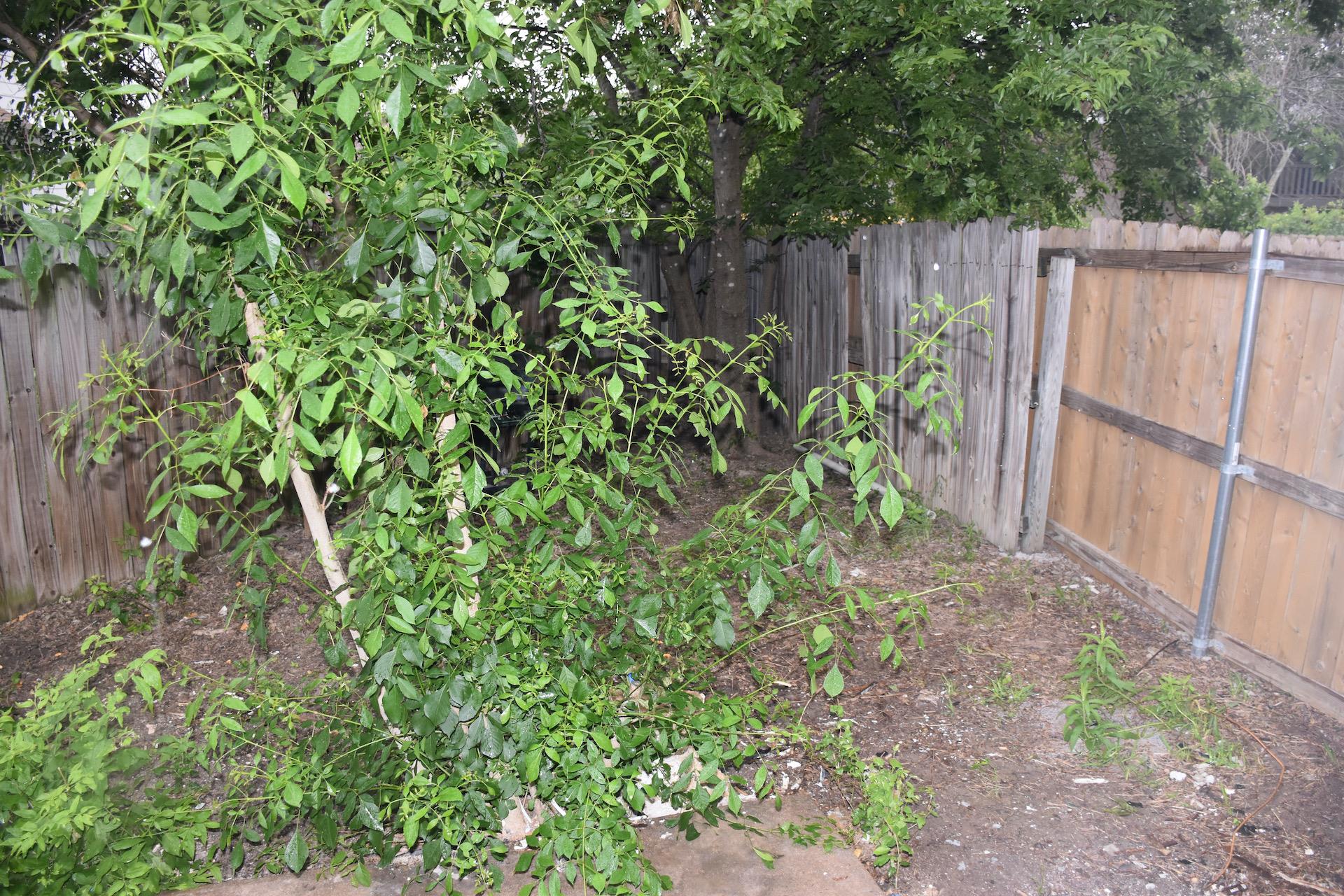 1814 Rawhide Loop Property Photo 34