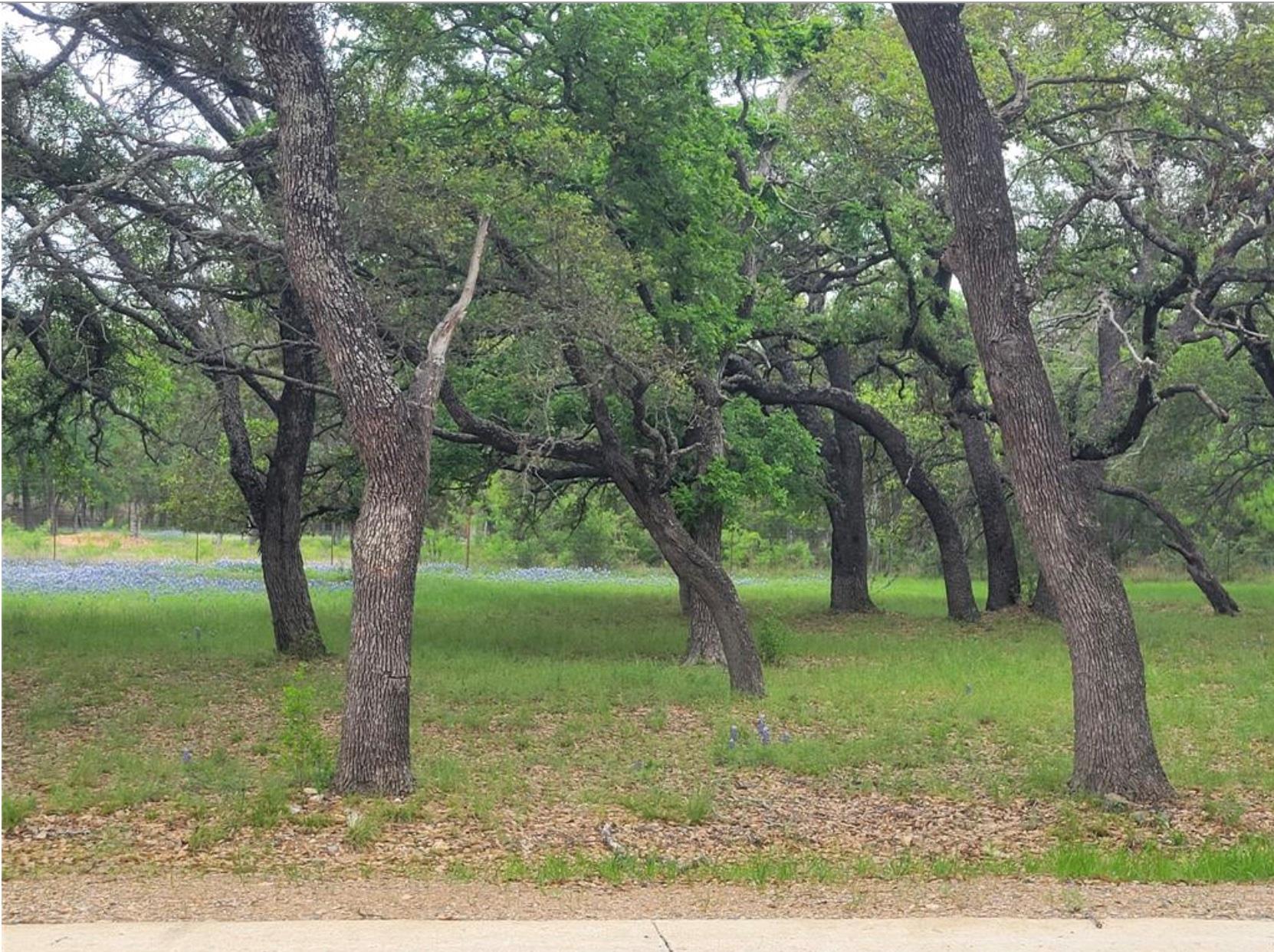 208 Cactus Cor Property Photo 3