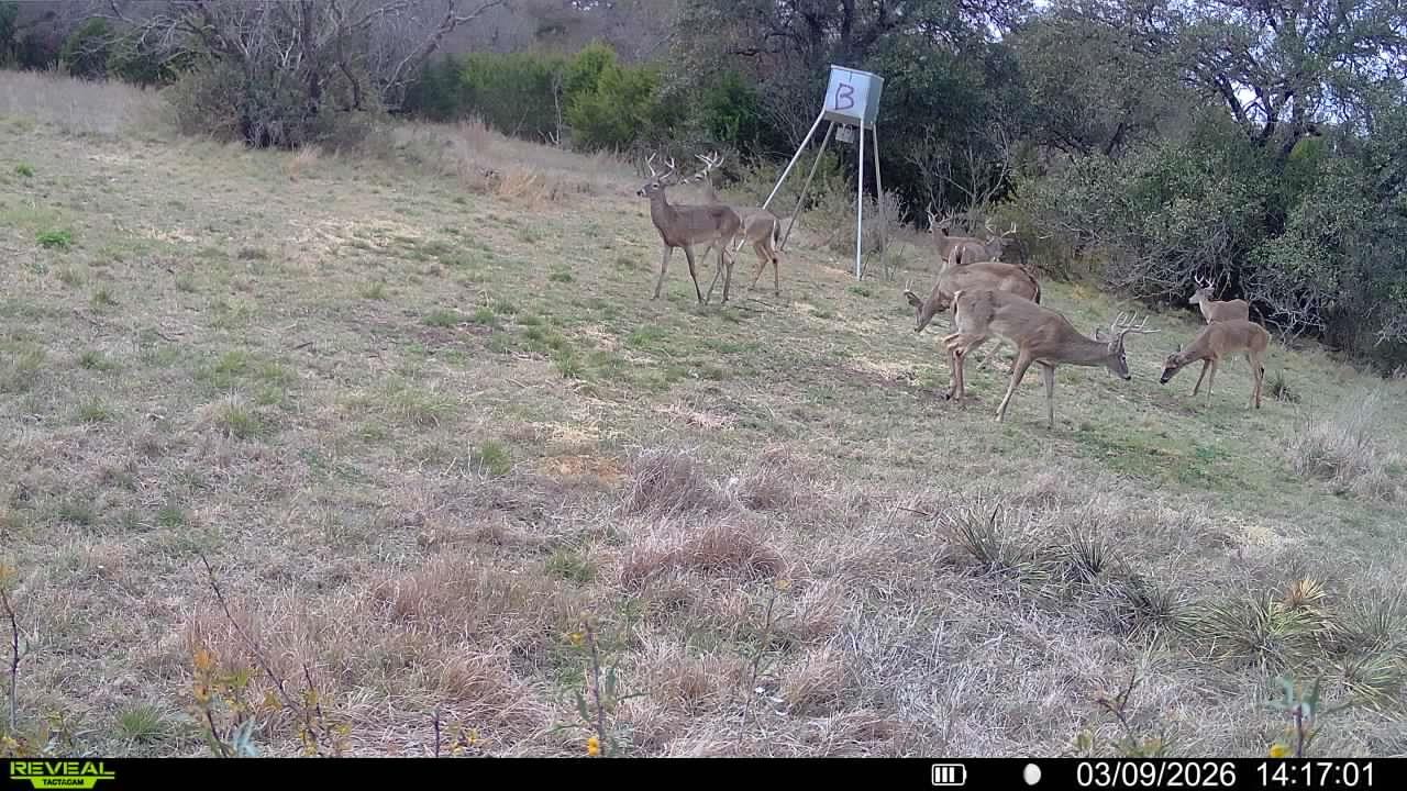 Tract 5 Dominion At Oak Ridge Kc 210 None Property Photo 34