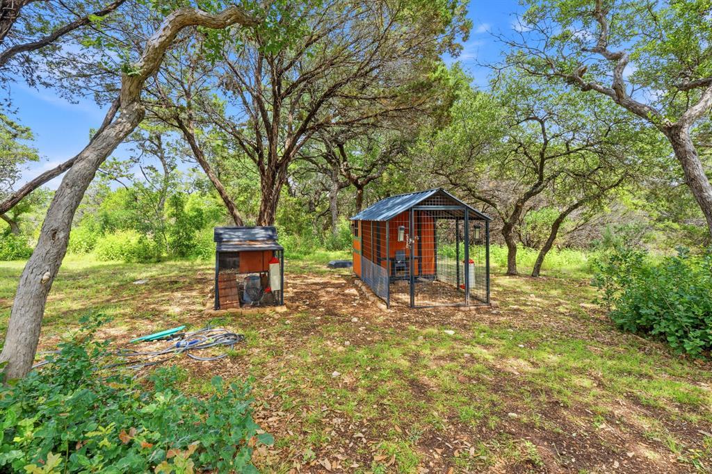 12411 Lone Mountain Pass Property Photo 25