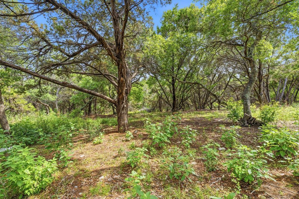 12411 Lone Mountain Pass Property Photo 27