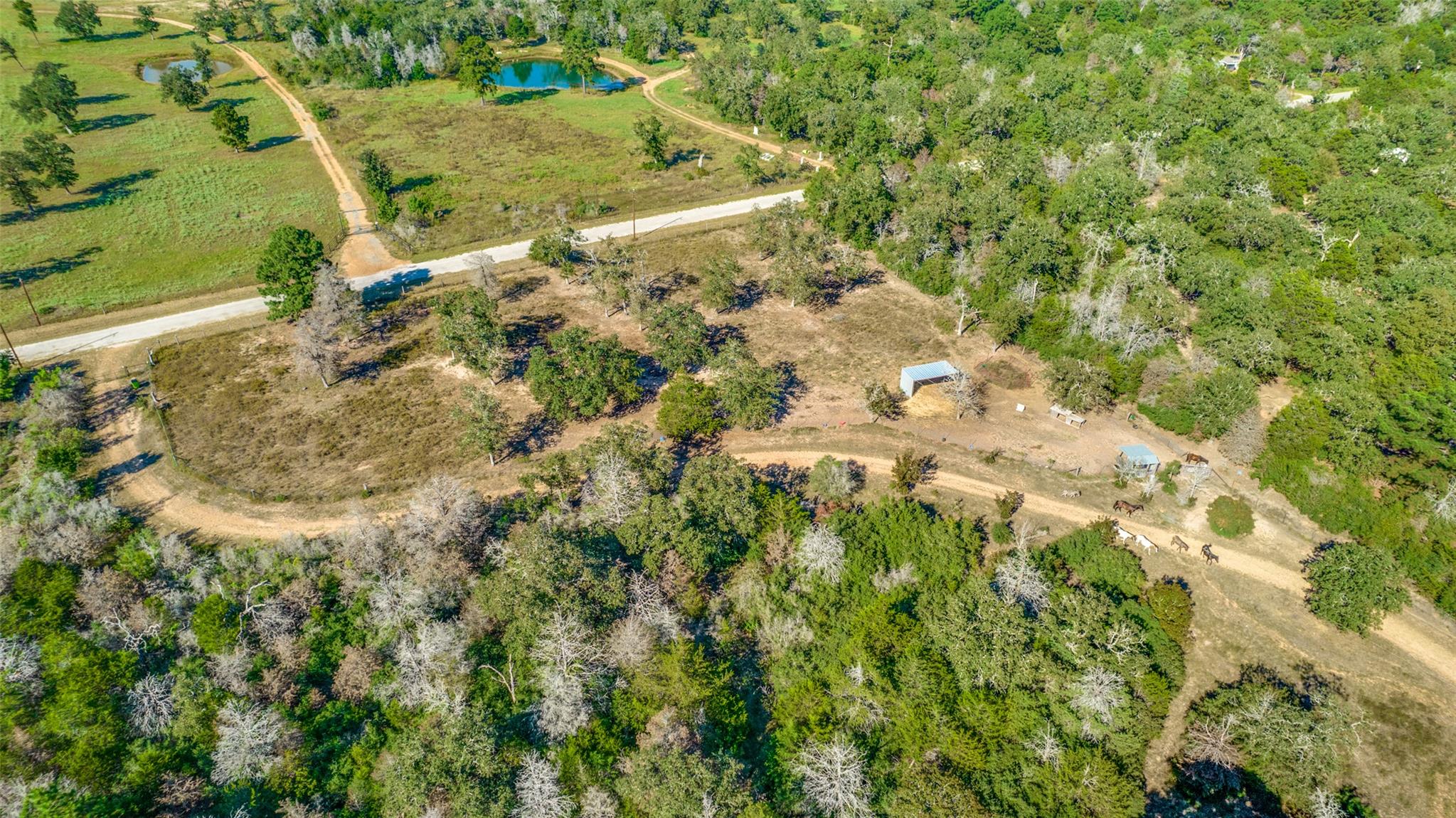 157 Cricket Hollow Ln