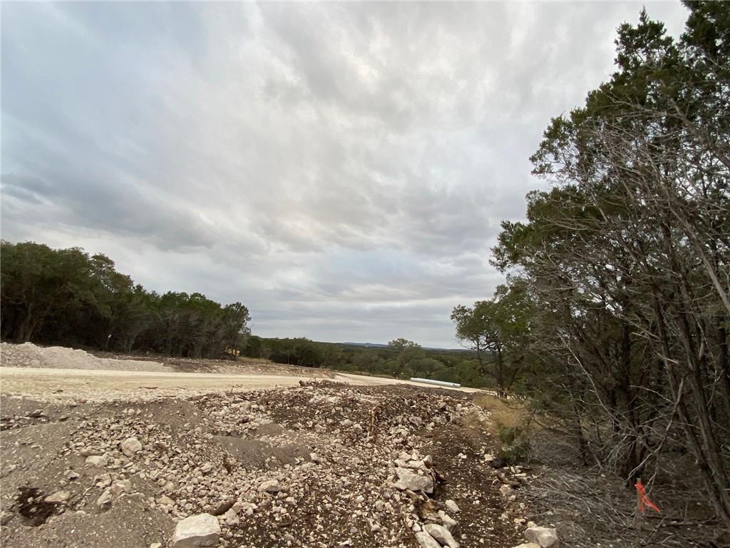 1007 Pristine Trl Property Photo 11