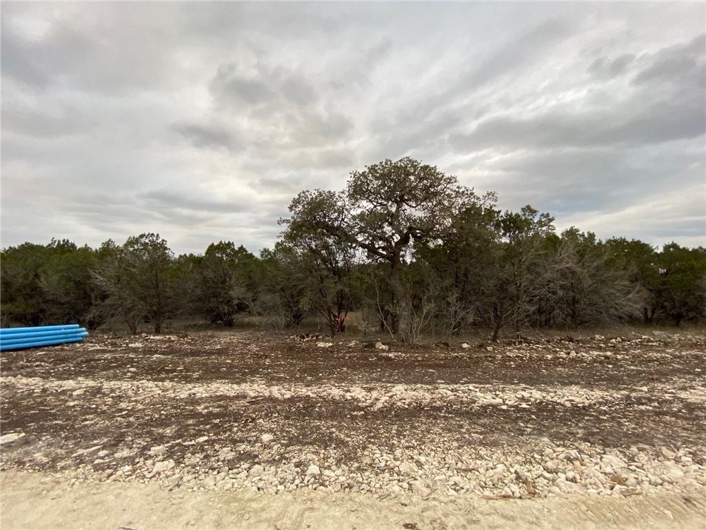 1007 Pristine Trl Property Photo 13