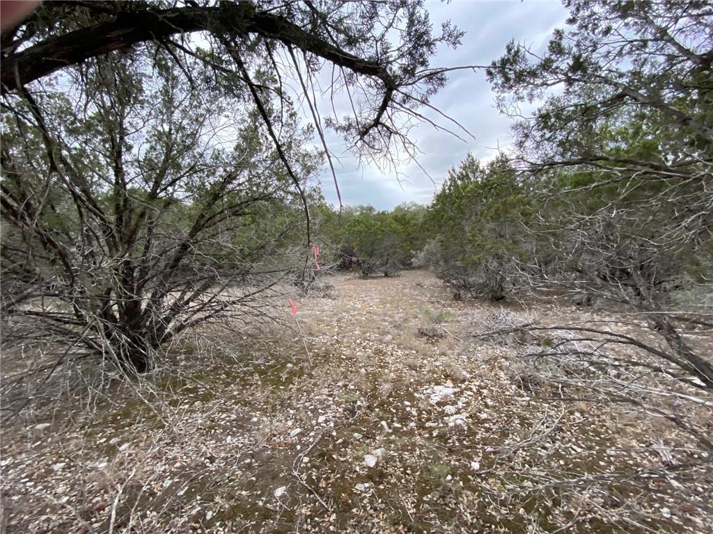 1007 Pristine Trl Property Photo 14