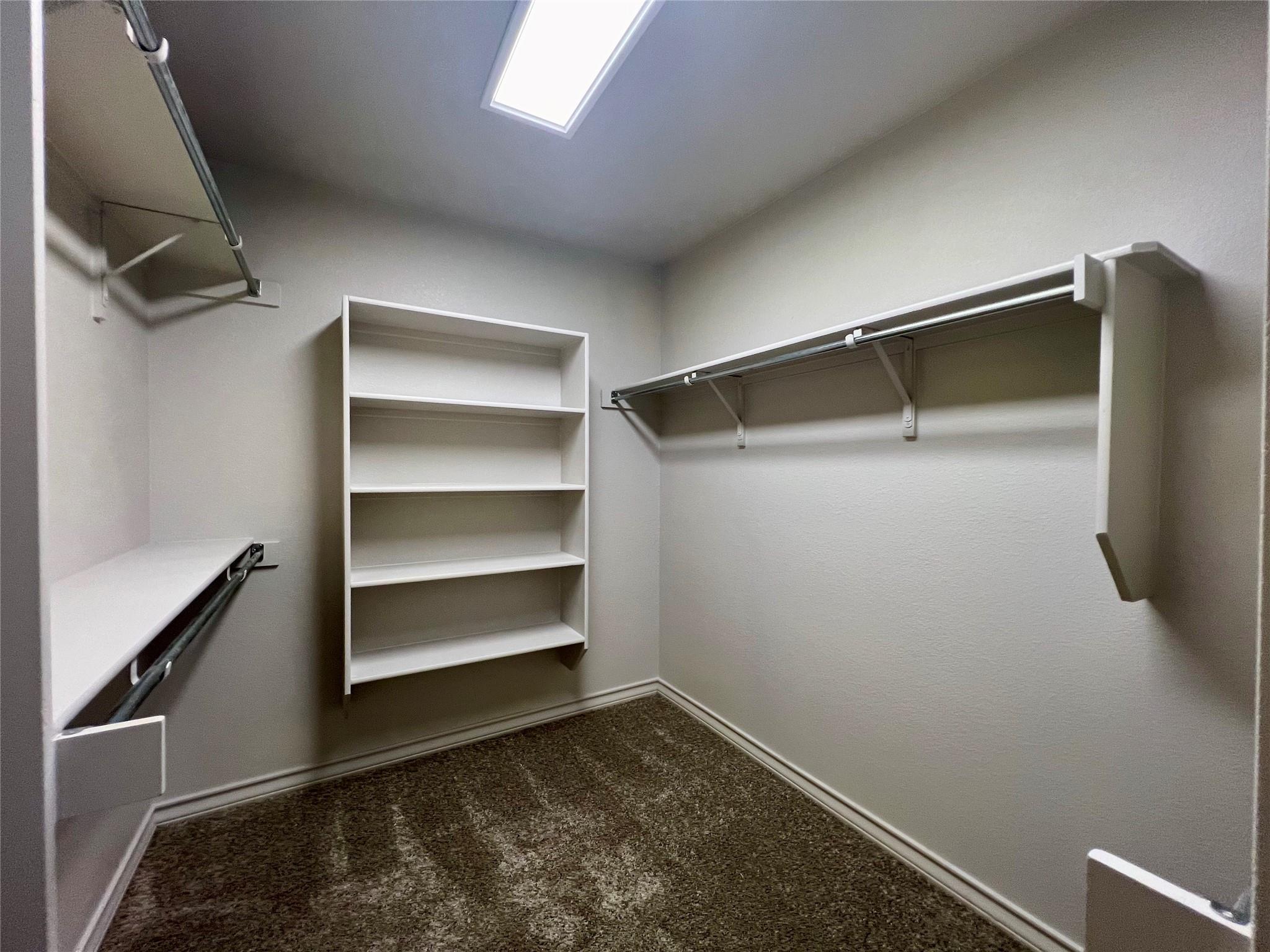 20937 Mandrake Dr Property Photo 17