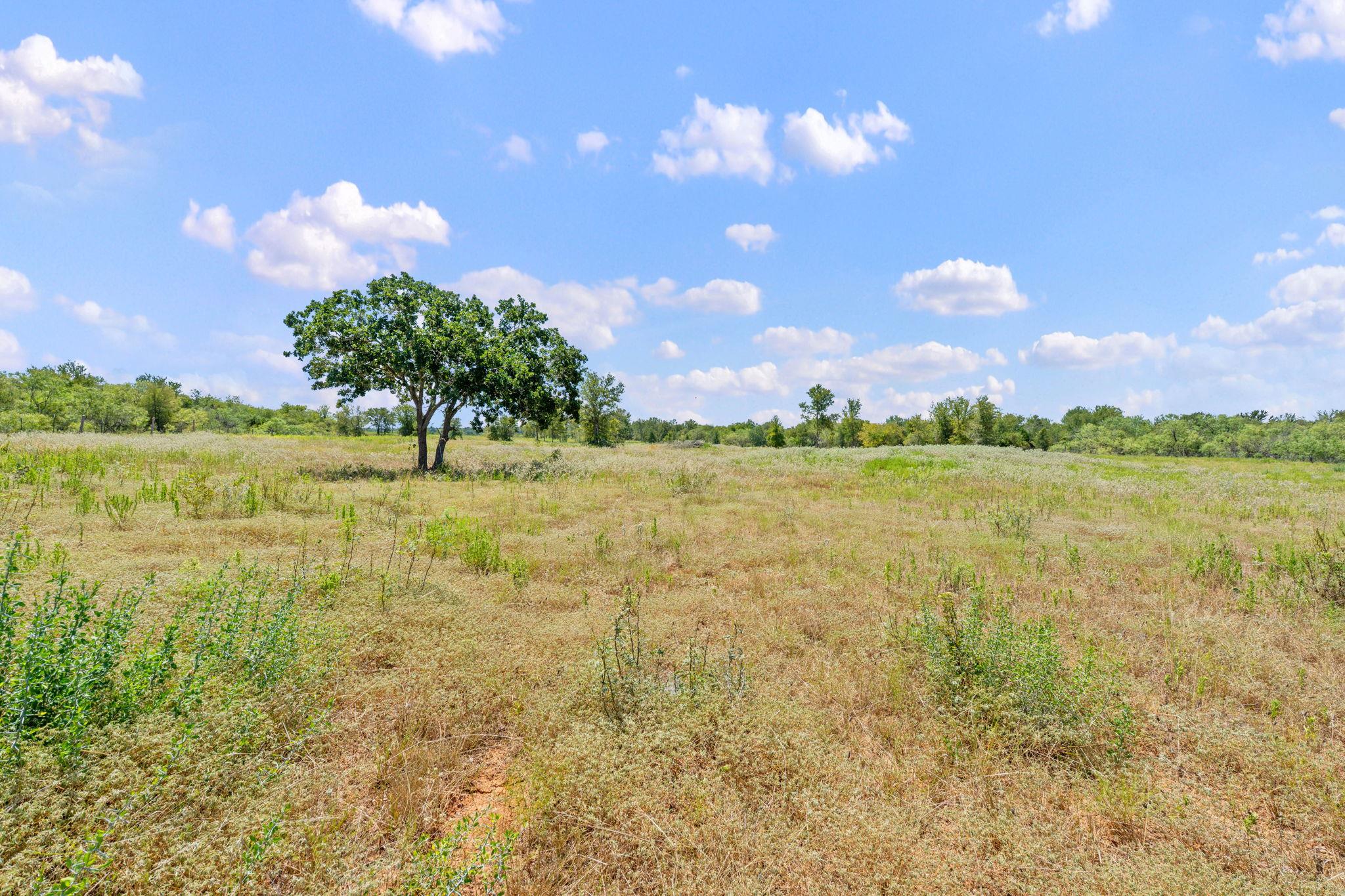 1385 Pettytown Rd Property Photo 19