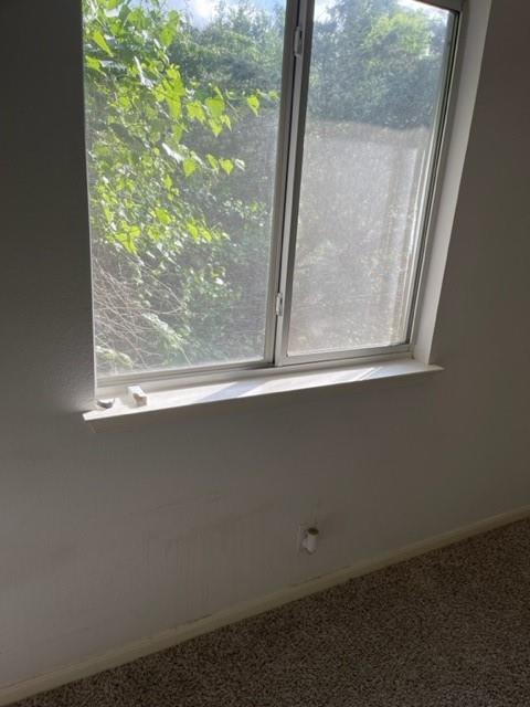 1105 Stephanie Lee Ln Property Photo 23