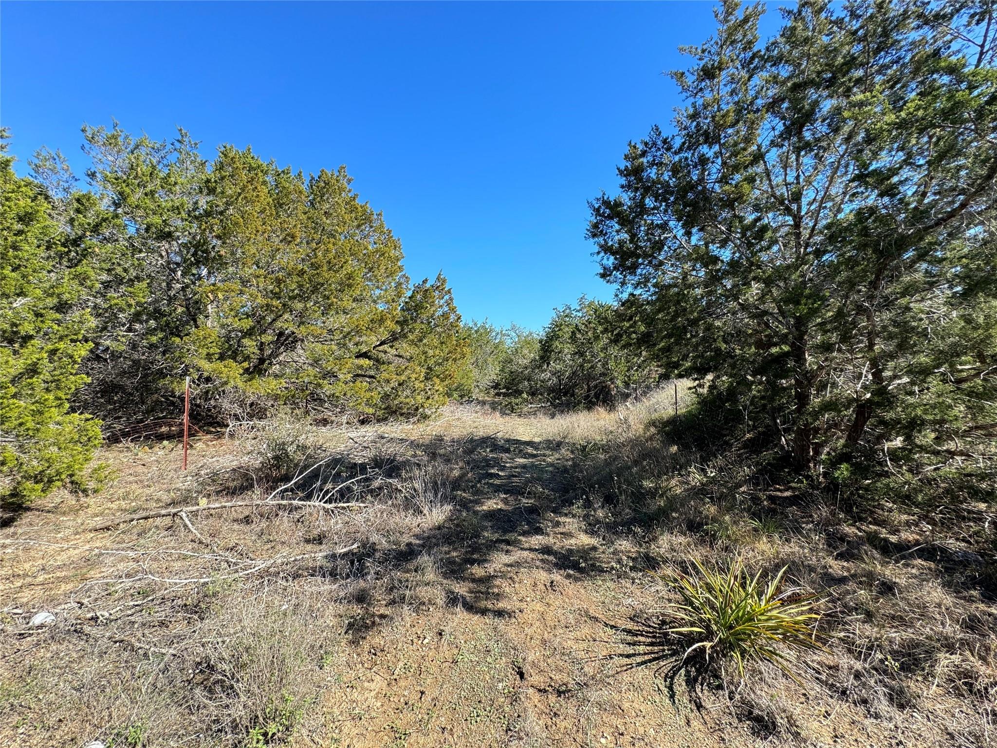 E Gatlin Creek Rd Property Photo 5