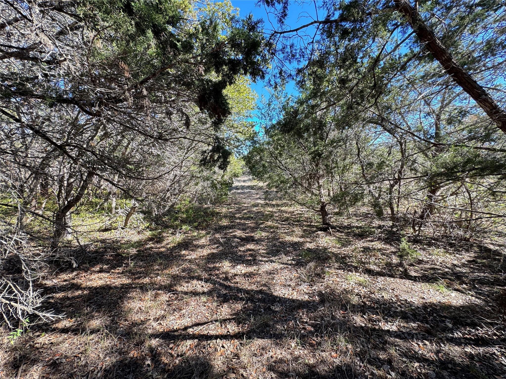 E Gatlin Creek Rd Property Photo 11